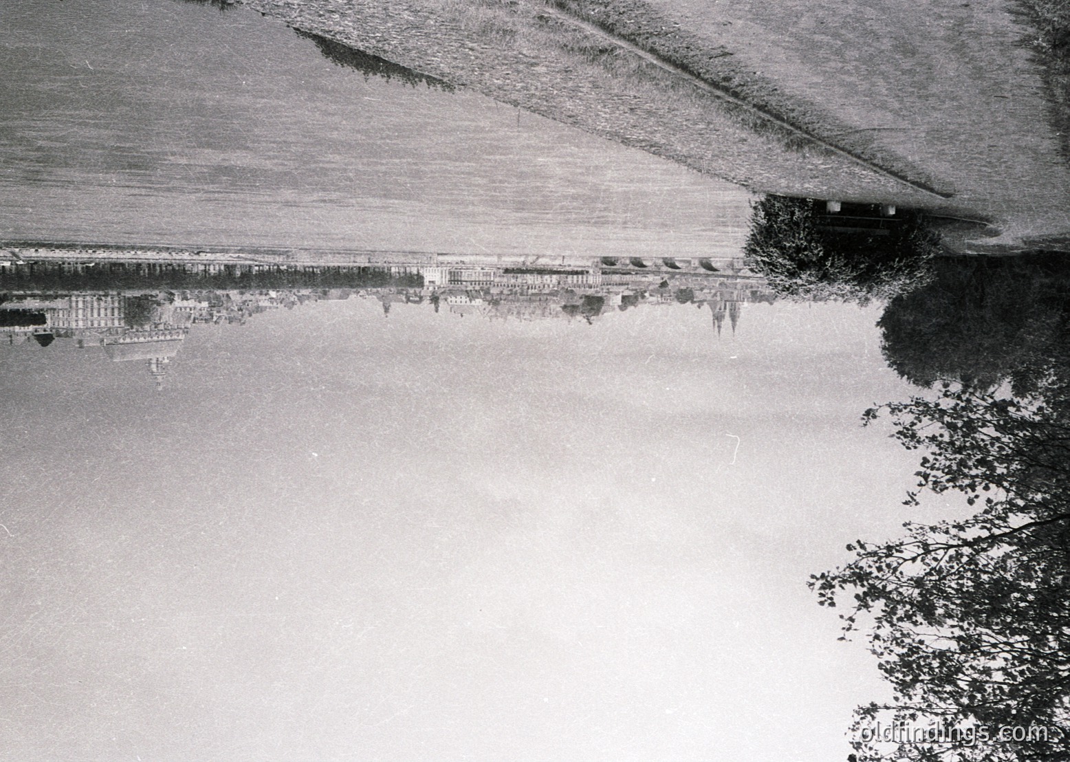 Aerial view of a coastal promenade with mirrored reflection in calm waters. Linear rows of palm trees flank a wide, paved walkway, bordered by low stone walls. Distant buildings and a pier extend into the horizon, suggesting a seaside resort. Likely mid-20th century based on architectural style and monochrome.