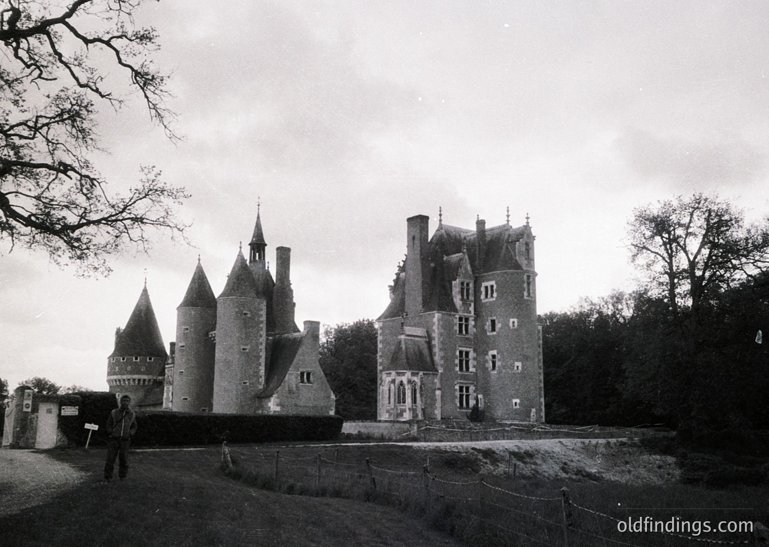 Medieval castle with conical towers and crenellated walls, likely European. Architectural style suggests 12th–15th century. Foreground features a person for scale, surrounded by overgrown grass and trees.