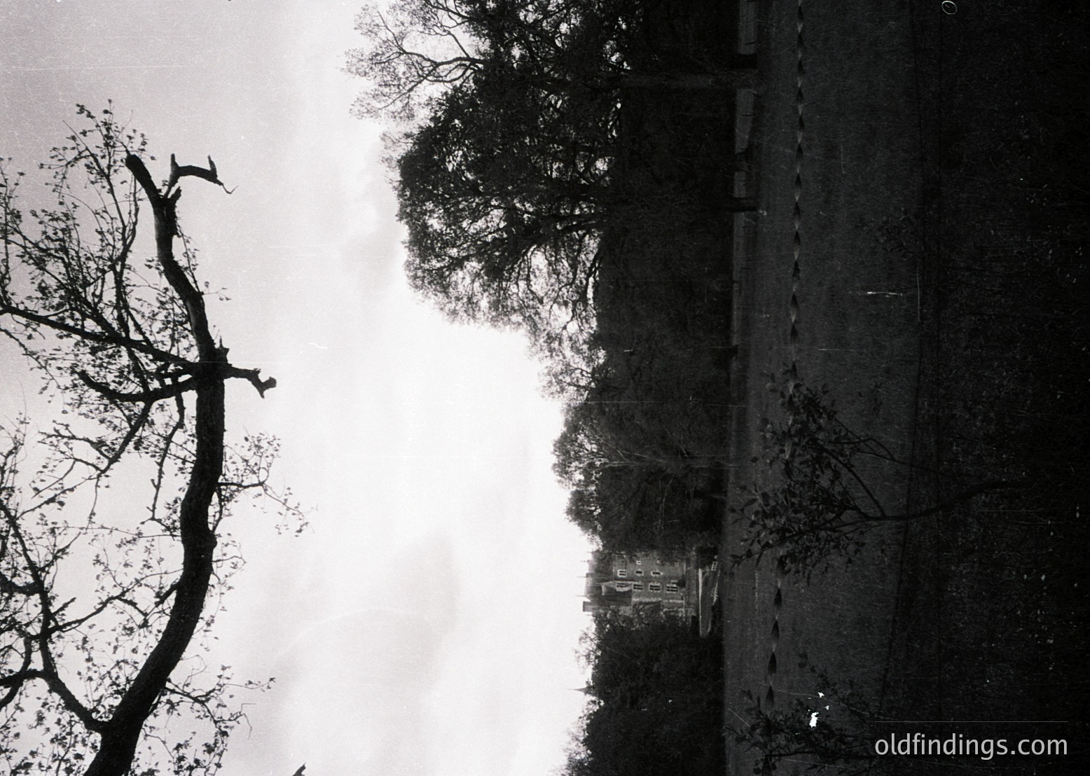 High-contrast black-and-white reflection of leafless trees in wet pavement, mirroring a distant building. Urban landscape with minimalist composition, likely autumn/winter.