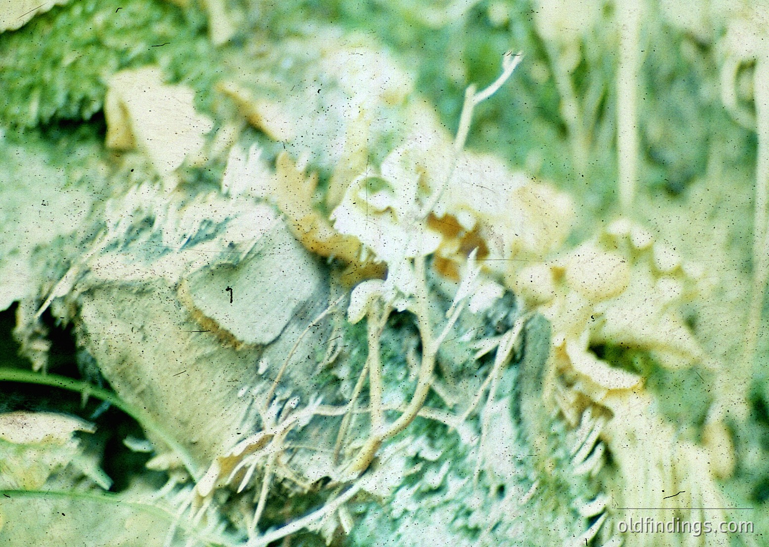 Vintage close-up of weathered concrete with exposed rebar and cracked surface, likely from mid-20th century construction. Greenish tint suggests aged film or intentional vintage effect.
