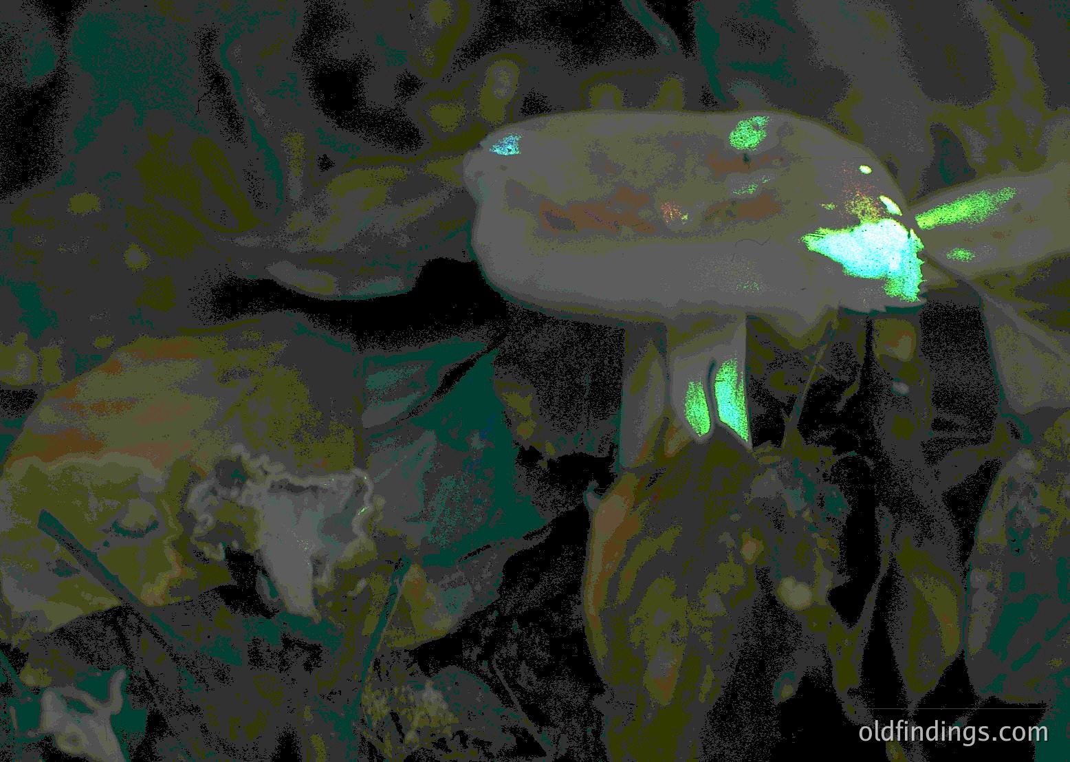 Vintage-style abstract painting with muted greens, blues, and grays. Textured brushstrokes depict a blurred, semi-circular composition resembling a bowl or basin filled with organic matter. Artistic style evokes mid-20th-century expressionism or abstract realism.