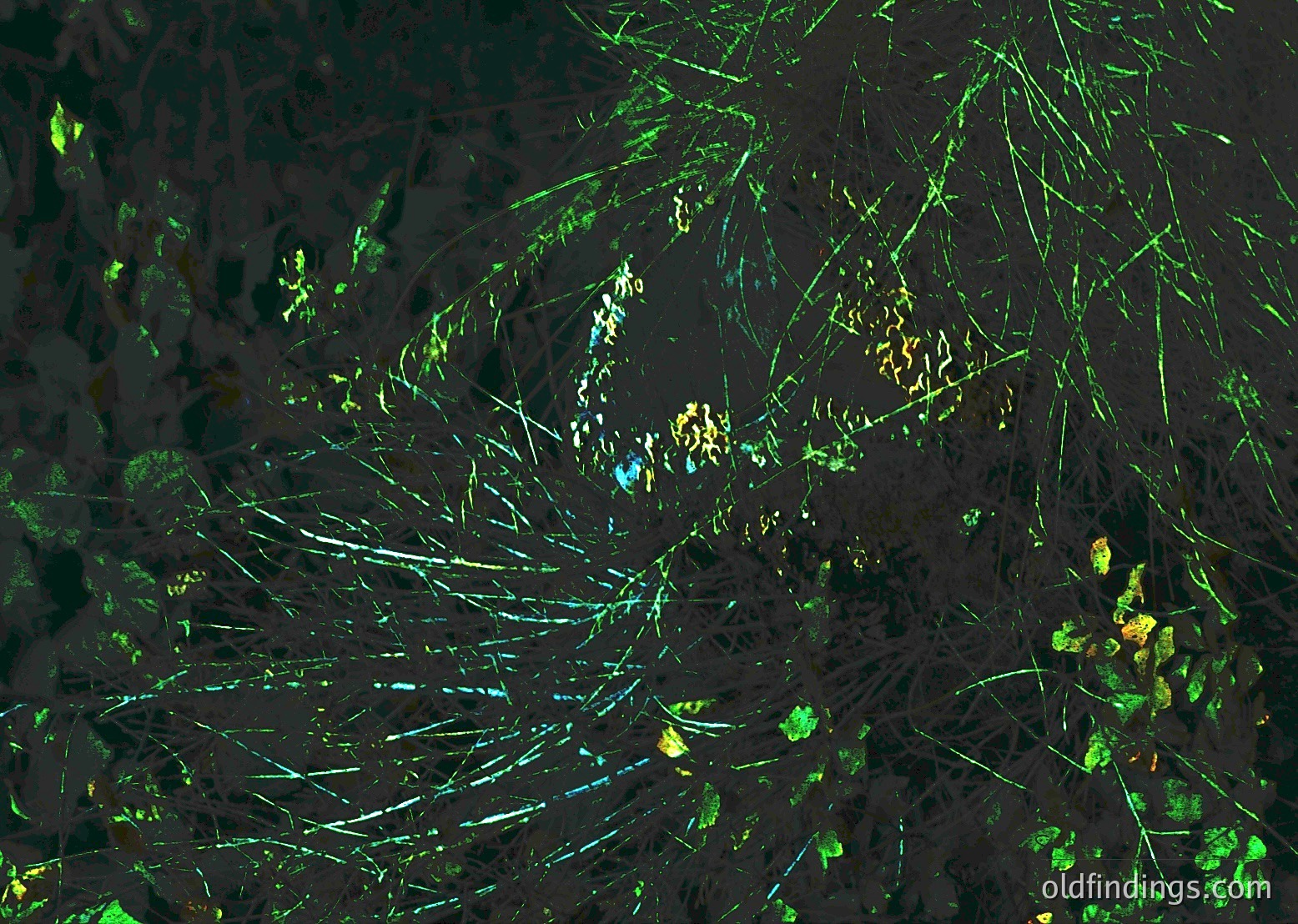 Aerial view of agricultural field with geometric crop patterns. Dark soil contrasts with bright green and blue-green striped sections, likely indicating irrigation or planting techniques. The central cluster of yellow and white may represent a different crop or fertilizer application.