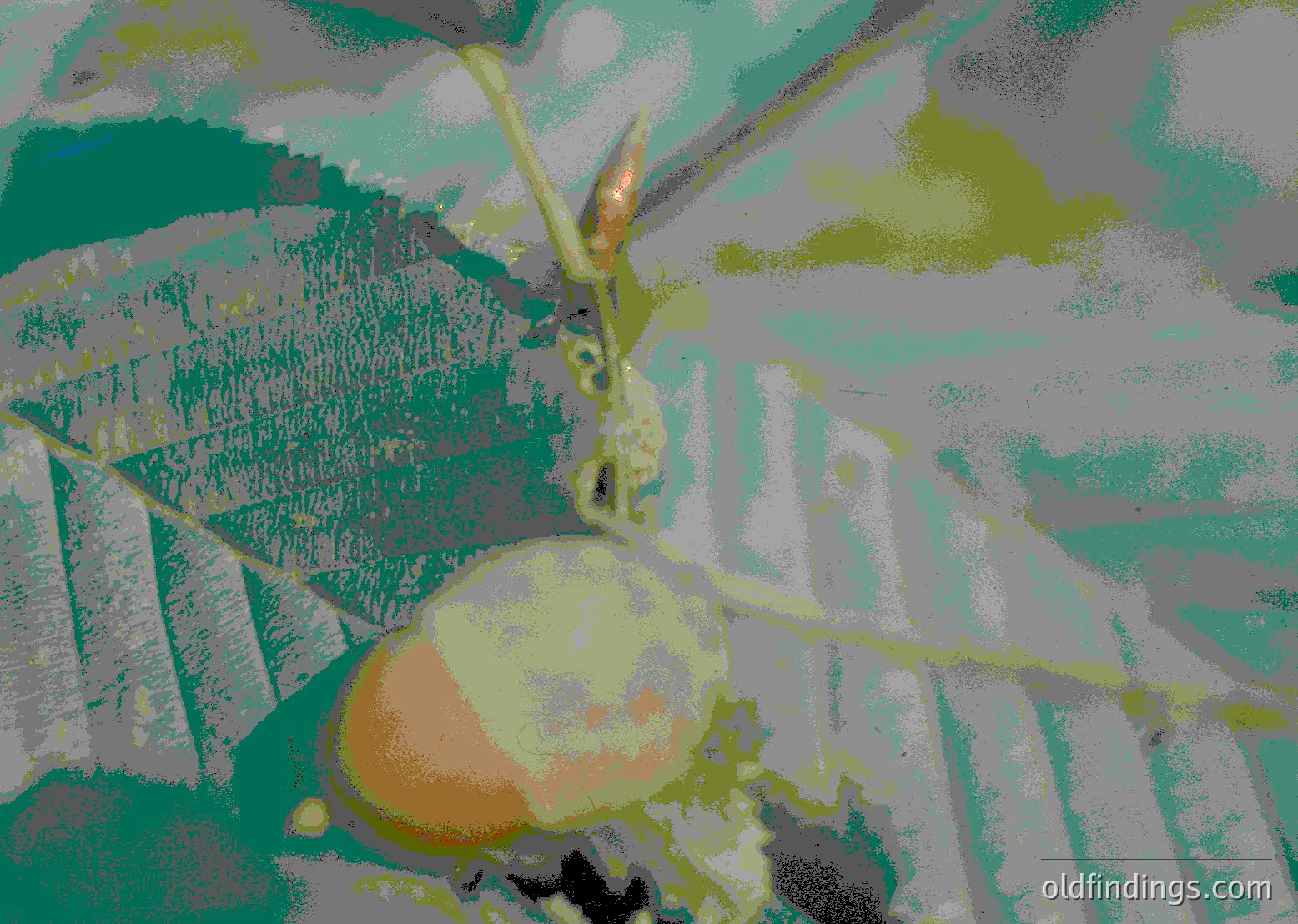 Abstract digital art featuring a stylized, monochromatic landscape with a prominent orange fruit (likely a citrus) in the foreground. Textured brushstrokes and muted greens/blues dominate the background, evoking a blurred natural scene.