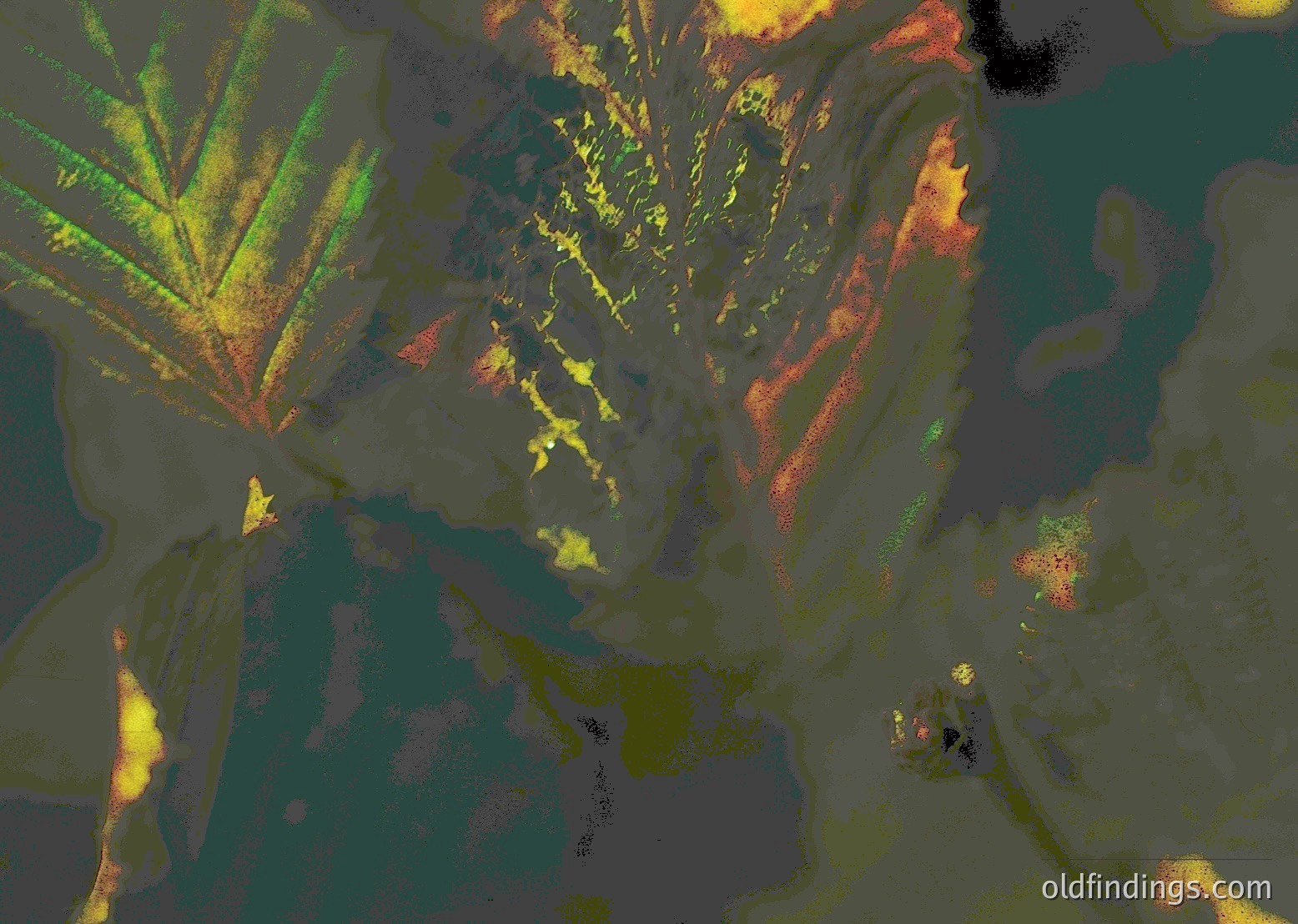 Close-up of a **vintage slide film strip** showcasing **autumn foliage** through a **distorted lens effect**. Warm hues of **red, yellow, and green** dominate, with visible **film grain** and **color bleeding**. Likely captured in the **late 20th century** for personal or archival use.