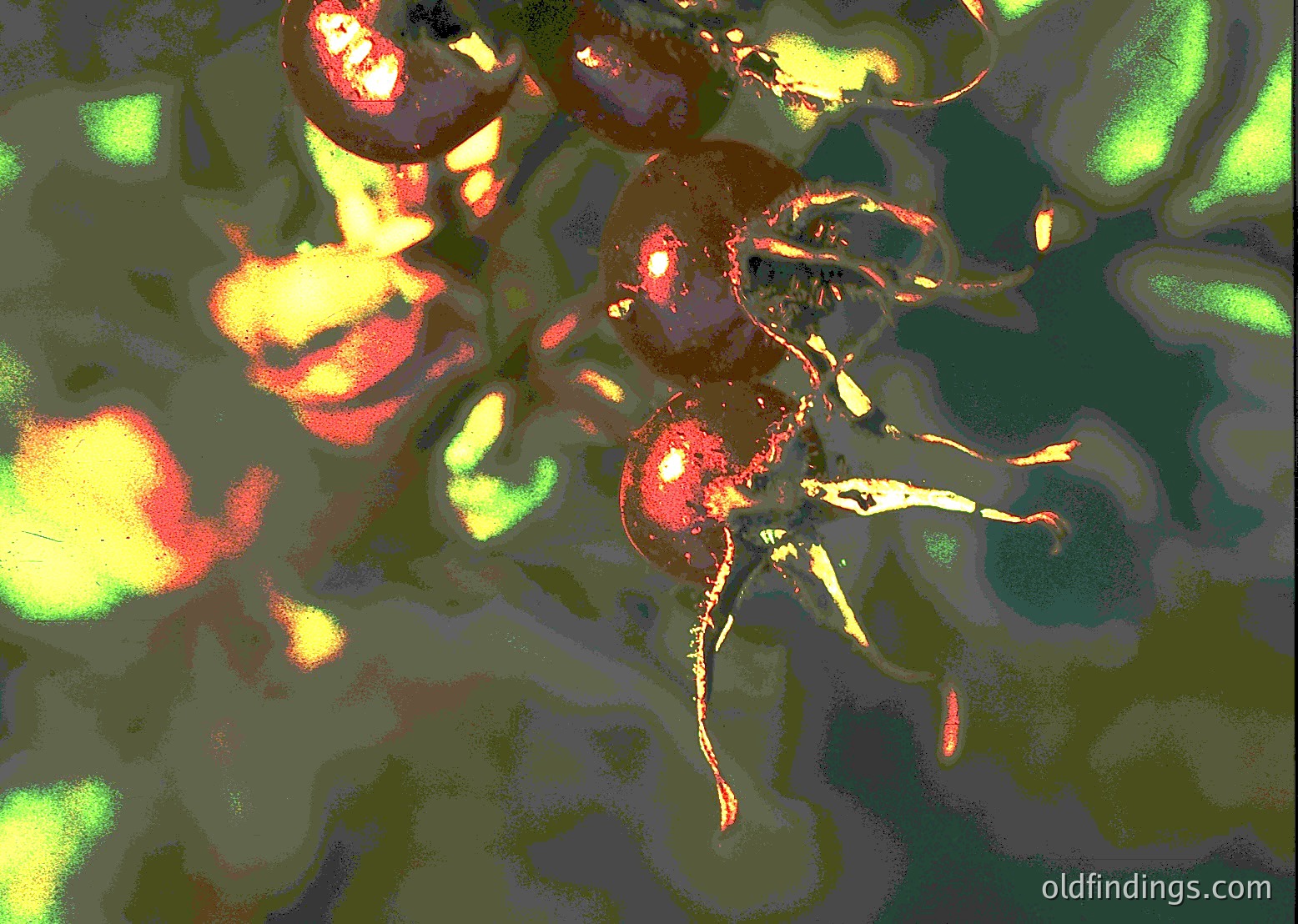 Vintage abstract painting featuring bold, expressive brushstrokes of reds, greens, and yellows. The chaotic yet harmonious interplay of colors suggests a mid-20th-century expressionist style, likely from the 1950s–1970s. The dynamic texture evokes organic forms, possibly inspired by nature or urban landscapes.