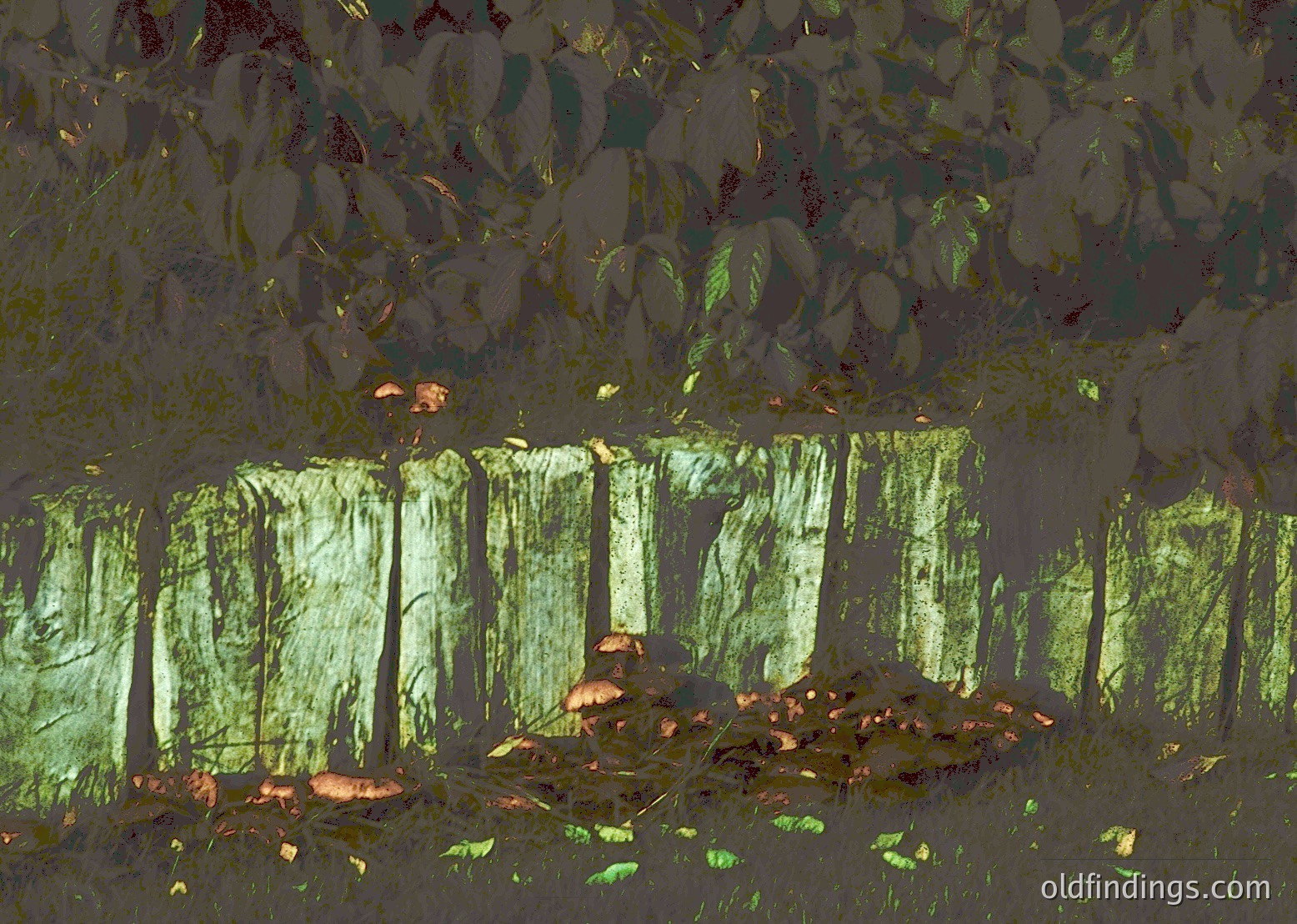 Reflections of autumn foliage mirrored in a shallow, sunlit pond. Vibrant reds, yellows, and greens contrast with the muted green water. Ideal for nature photography, seasonal inspiration, or environmental studies.