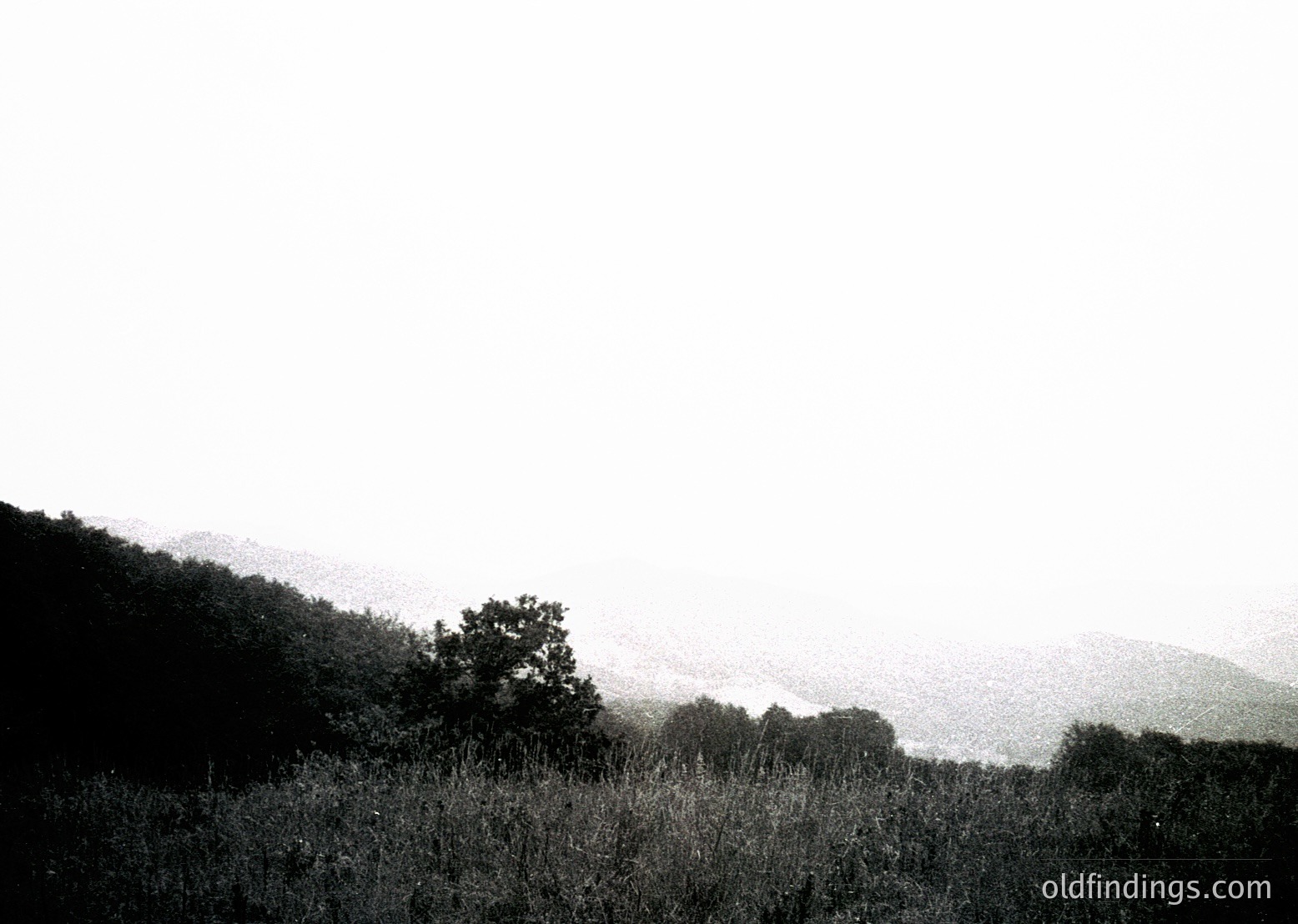 Vague monochrome landscape with misty, low-lying hills and sparse vegetation. Minimalist composition emphasizes atmospheric texture and muted tones.