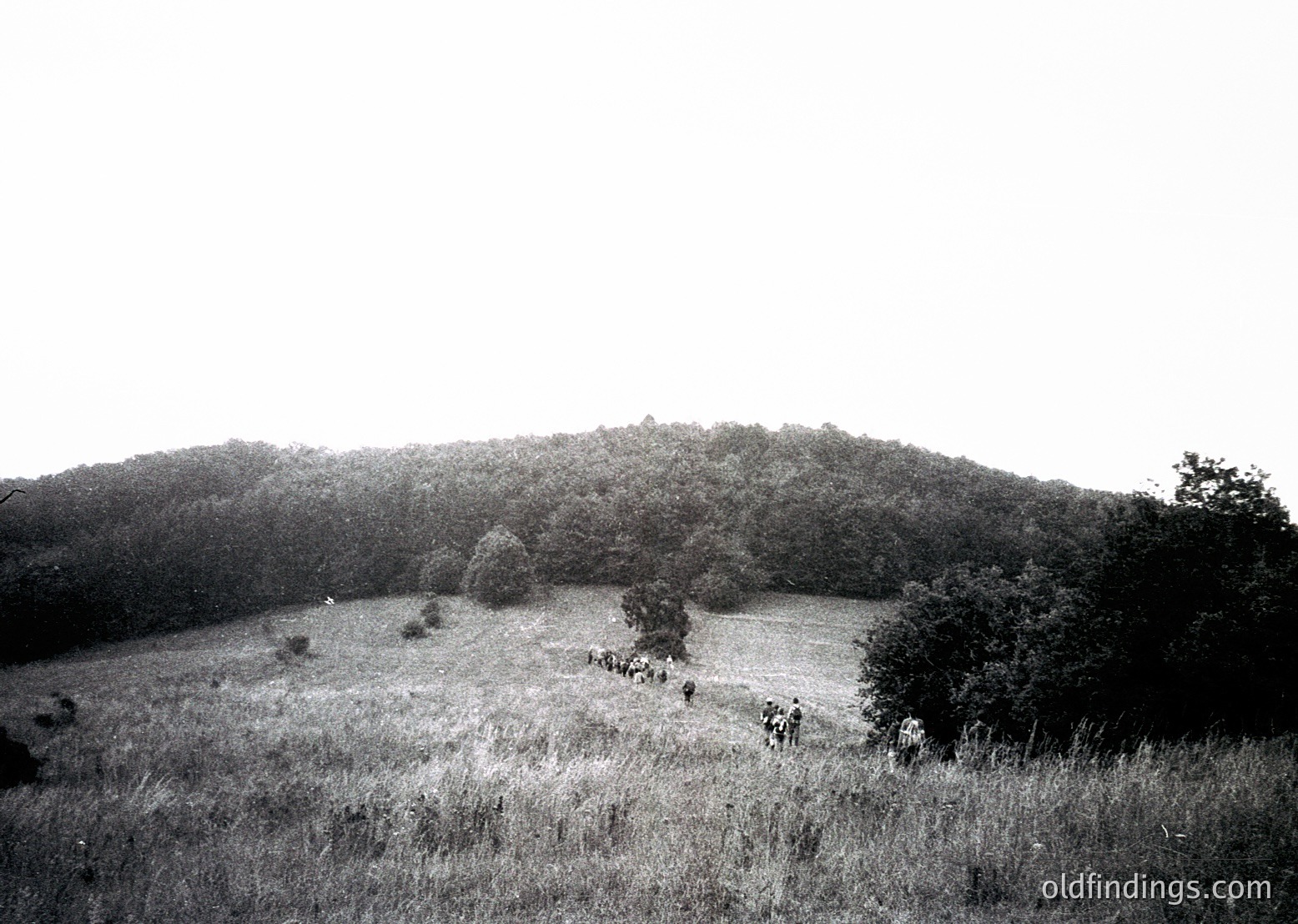 Black-and-white landscape featuring a group of 10+ individuals ascending a grassy hillside, framed by scattered trees and open fields. Mid-20th century attire suggests a rural or outdoor gathering, possibly educational or recreational.
