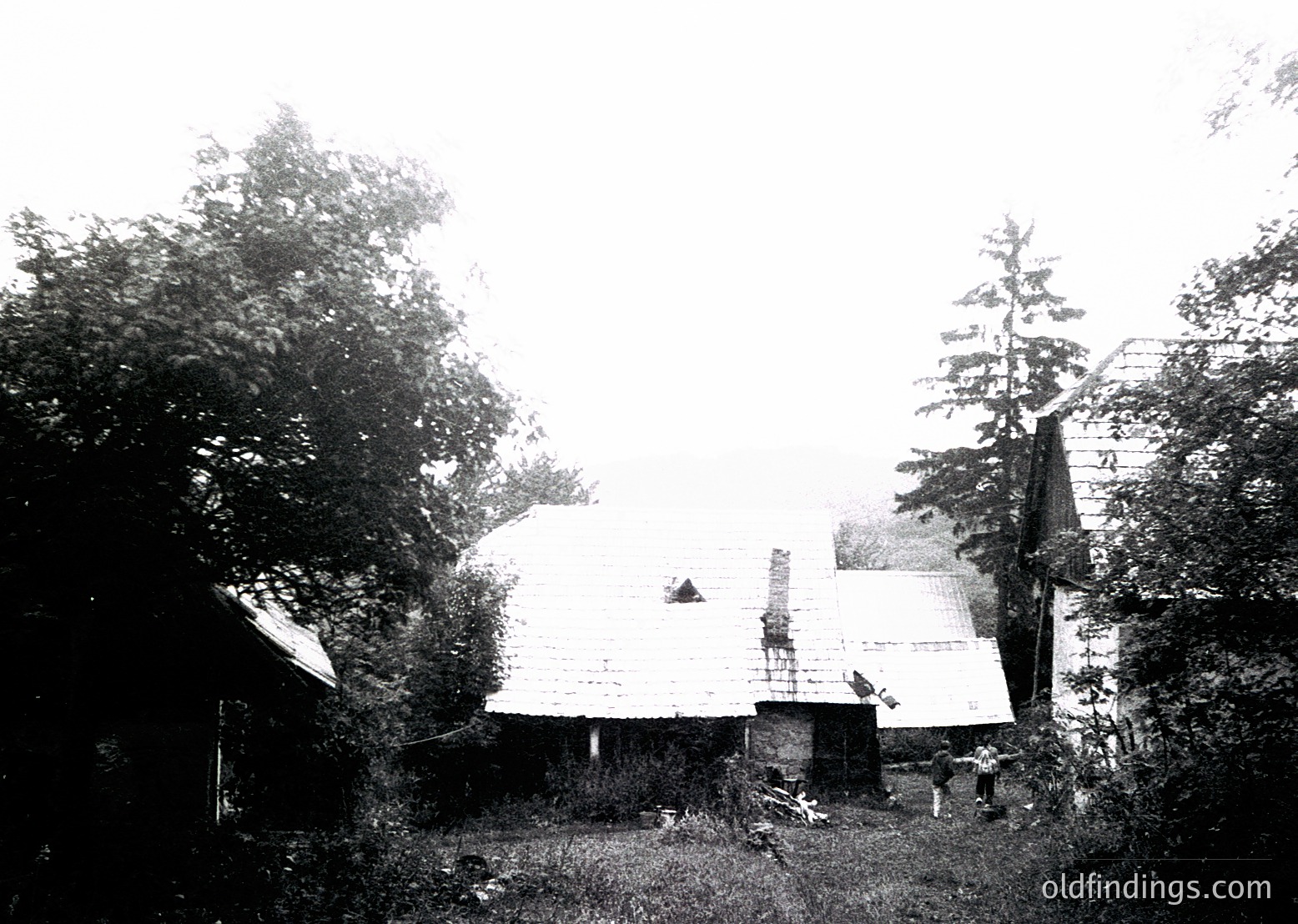 Early 20th-century farmstead with weathered wooden structures and overgrown vegetation. Sloped roof barn and smaller outbuildings surrounded by dense trees, suggesting rural isolation. Black-and-white vintage aesthetic indicates historical preservation value.