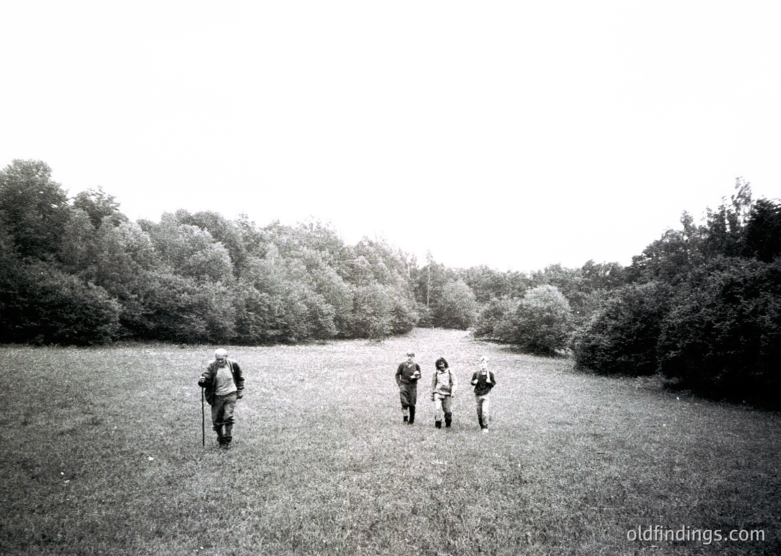 Four hikers traverse a grassy meadow flanked by dense shrubs, framed by a narrow dirt path. Mid-20th century attire suggests outdoor recreation. Ideal for vintage travel, nature documentary, or historical tourism references.