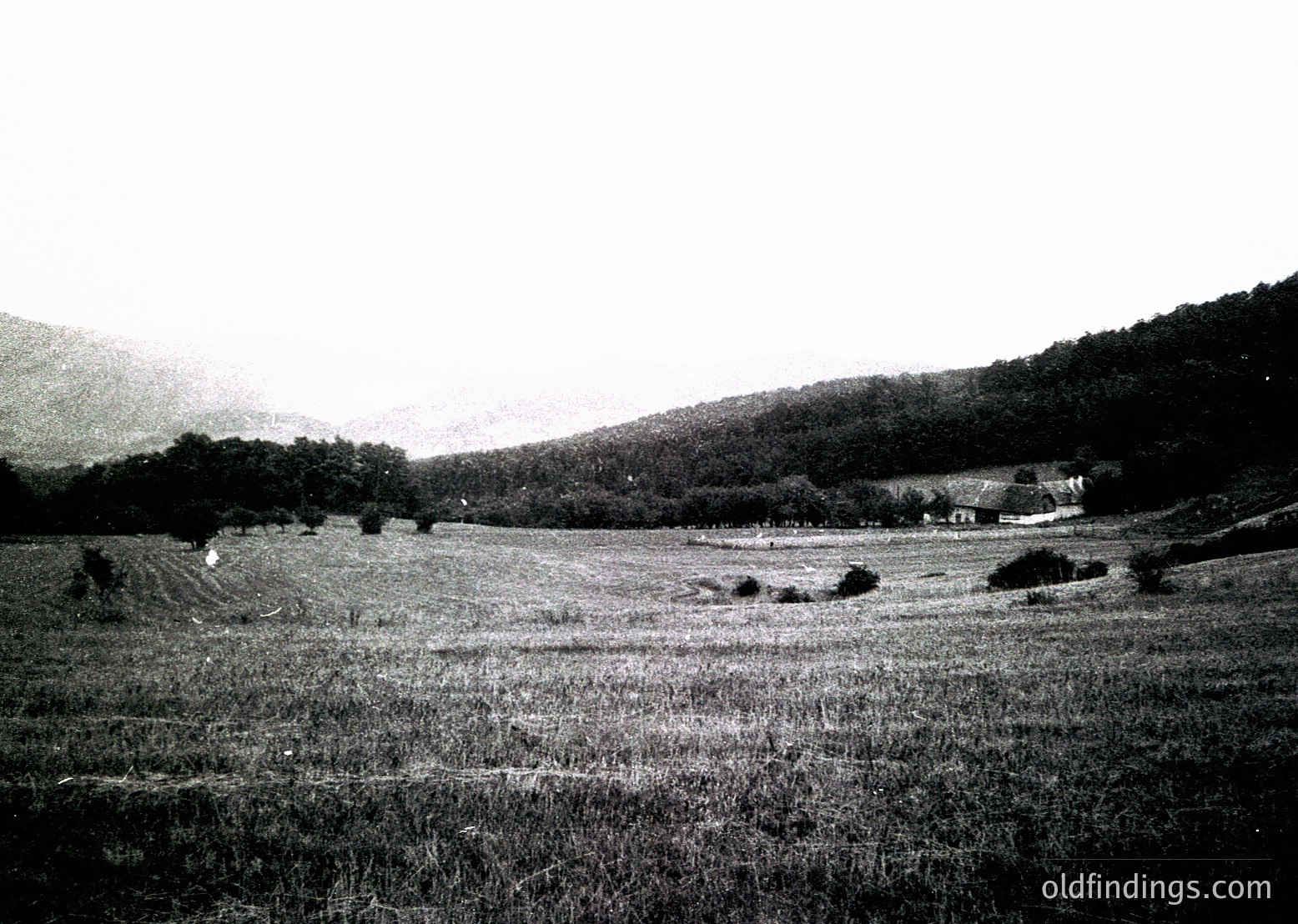 Rural landscape featuring open fields with haystacks, bordered by dense forest and rolling hills. Single-story farmhouse visible in background. Black-and-white vintage aesthetic suggests early-to-mid 20th century.