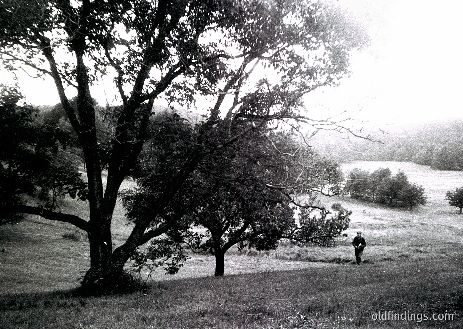 Black-and-white landscape featuring a lone figure standing near a body of water, surrounded by dense trees and rolling hills. The overcast sky and muted tones suggest early 20th-century photography.