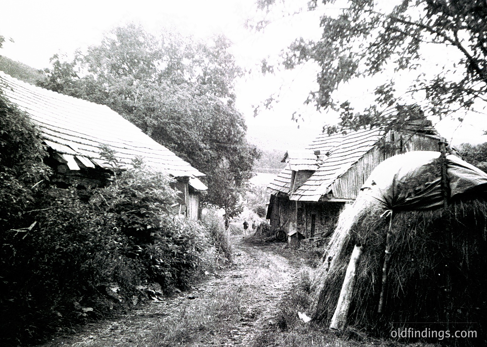Rustic rural village scene with thatched-roof huts lining a narrow dirt path. Hay bales stacked beside structures, dense greenery framing the pathway. Likely Eastern European countryside, early-to-mid 20th century.
