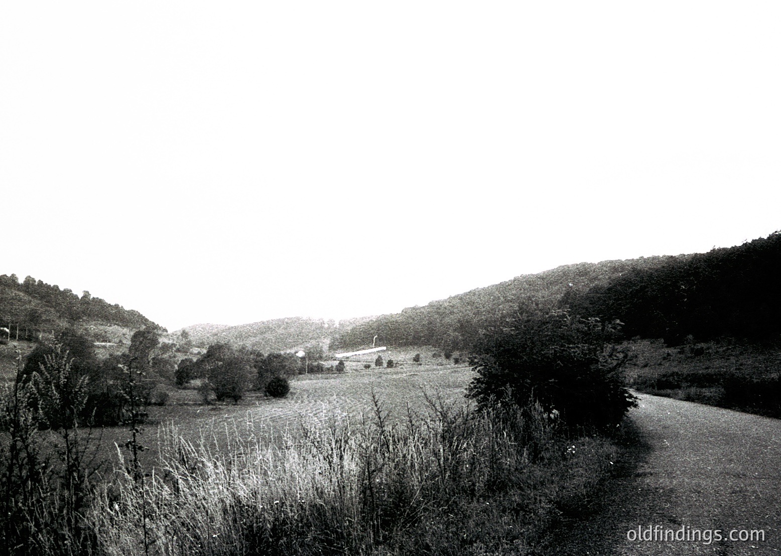Black-and-white rural landscape featuring a winding road through lush, undulating fields and dense forest. Distant farmhouses and scattered trees suggest agricultural activity. Timeless, serene countryside vibe with high contrast and vintage aesthetic.