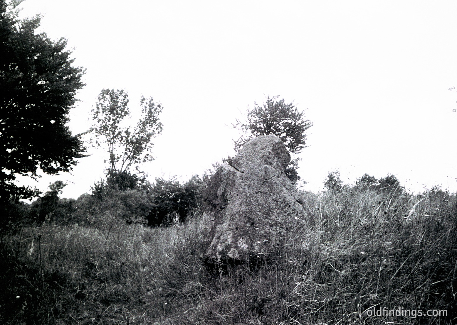 Vintage black-and-white photo of a lone, weathered stone monument in a grassy, wooded area. The structure appears to be a small, rectangular pedestal with a flat top, partially obscured by overgrown vegetation. The dense trees and tall grass suggest a rural or abandoned site. Likely mid-20th century based on style and grain.