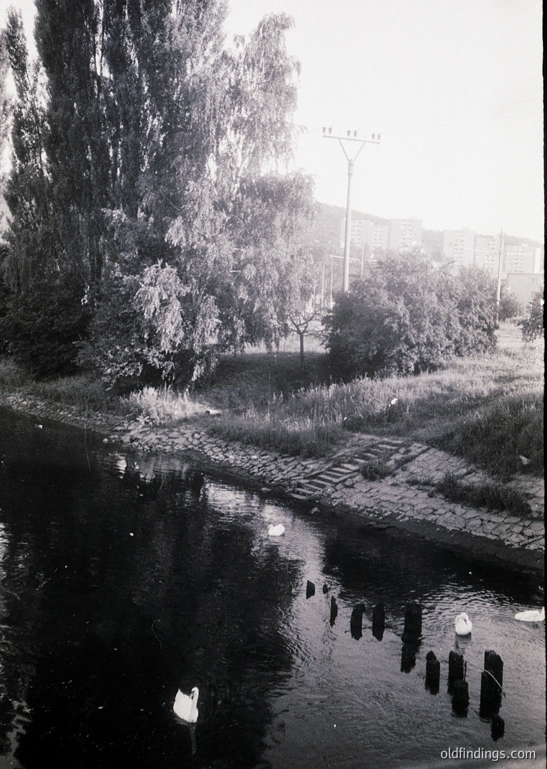 Black-and-white canal scene with cobblestone path flanked by trees and urban buildings. Reflective water surface highlights industrial-era street lamps and concrete posts. Likely mid-20th century European cityscape.