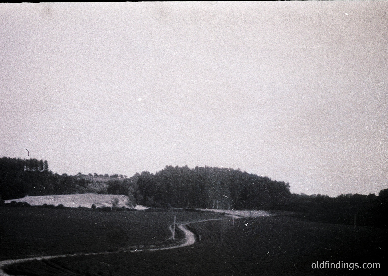 Vintage black-and-white rural road winding through open fields and dense forest, likely mid-20th century. Low-angle perspective captures horizon with sparse structures and a lone utility pole.