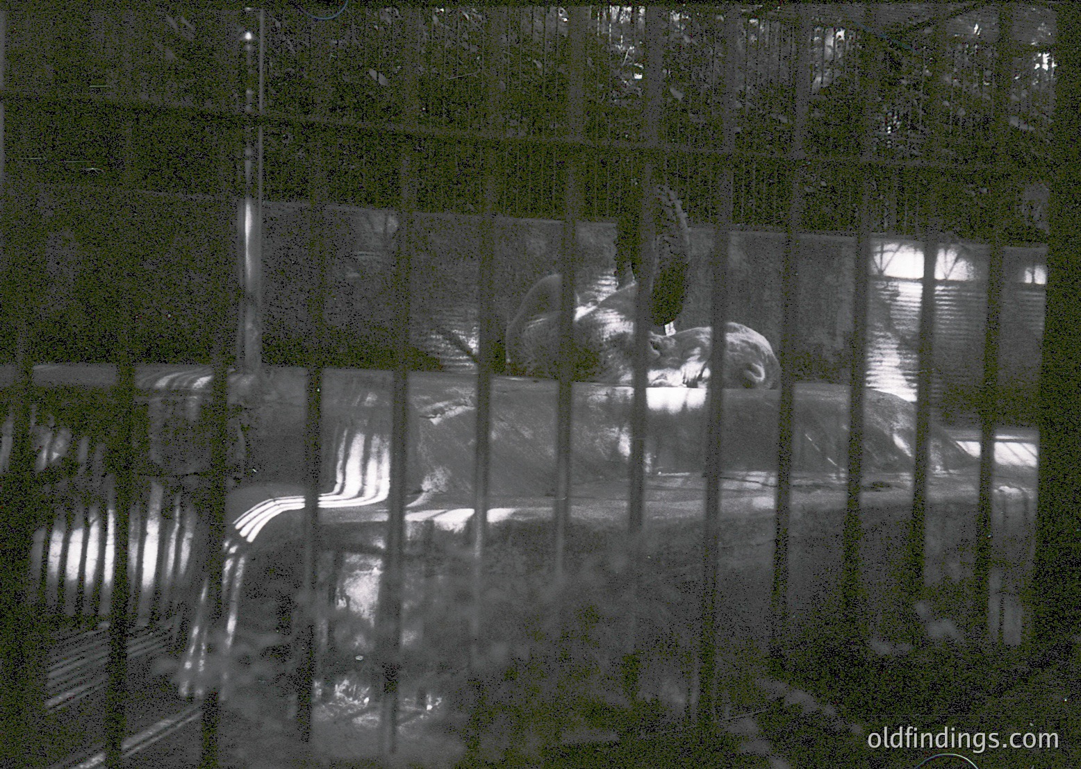Urban reflection in monochrome, likely captured through rain-soaked glass. Distorted view of a street scene with blurred pedestrians, a bus, and architectural details—possibly a modern cityscape. Reflections create abstract patterns on the surface.