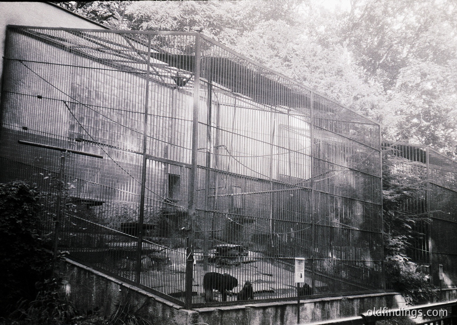 Mid-century industrial building with exposed steel framework and large glass panels, likely a factory or warehouse. Snow-covered rooftops and surrounding trees suggest winter conditions. Structural design reflects Brutalist or utilitarian architecture.
