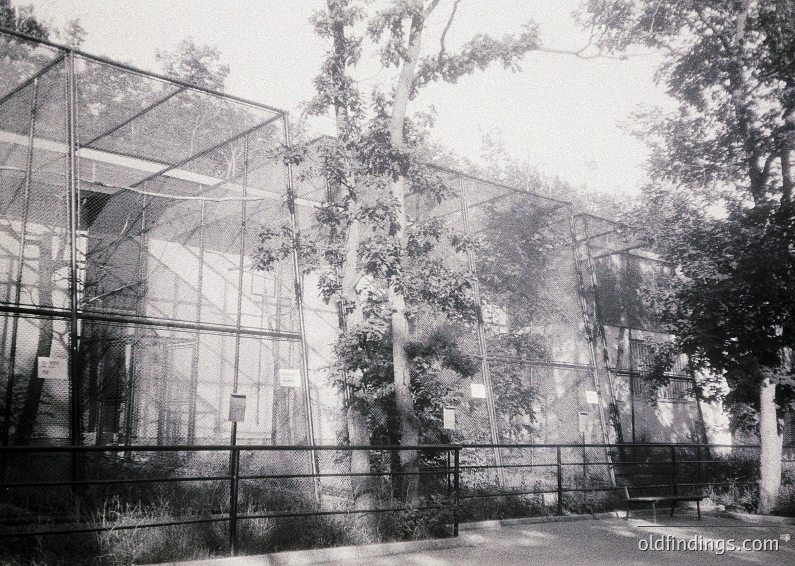 Mid-century modern glass-walled pavilion framed by mature trees, likely a 1960s-70s architectural study. Clean lines, horizontal railings, and minimalist design reflect Brutalist or functionalist influences. Indoor greenery visible through transparent panels.