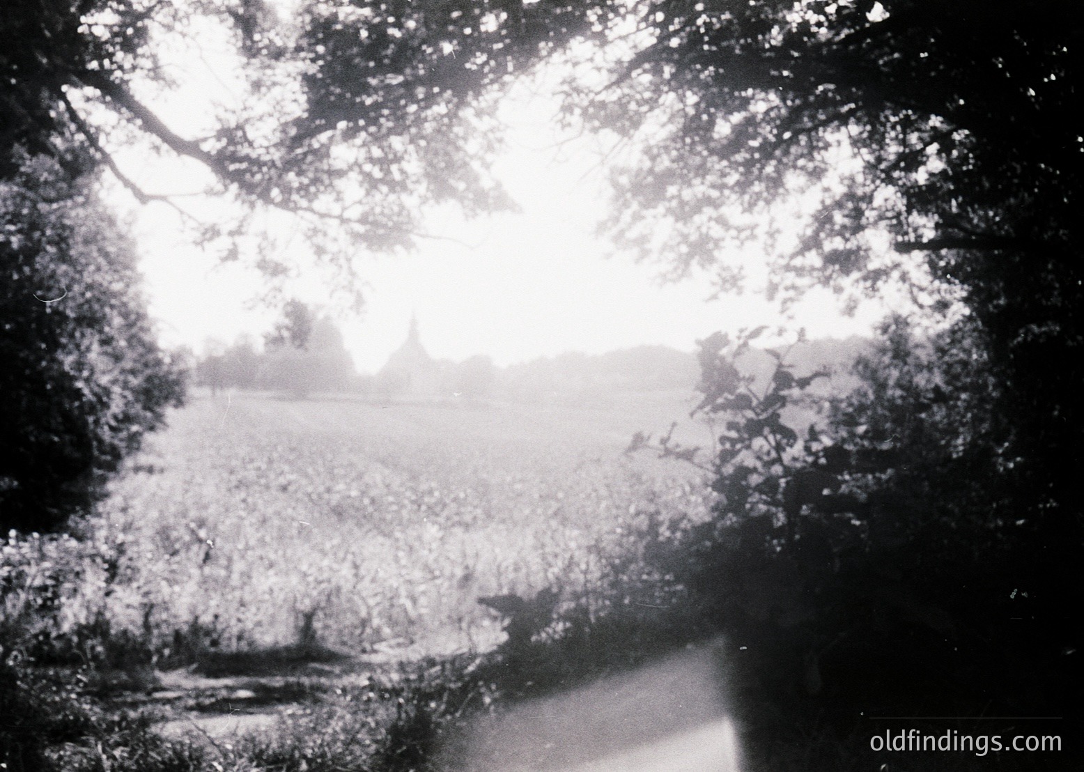 Vintage black-and-white shot of a misty landscape through tree branches, likely mid-20th century. Distant church spire and open fields suggest rural European setting. Soft focus enhances nostalgic, atmospheric mood.