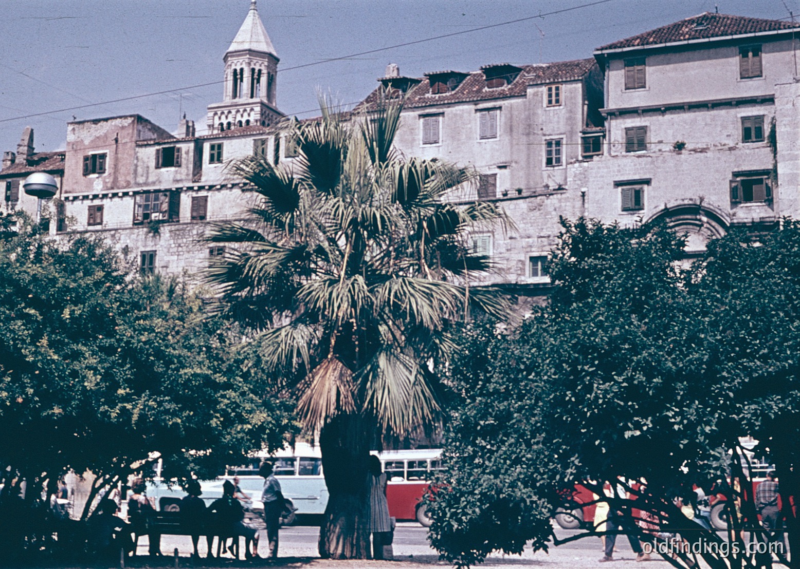 Vintage urban scene featuring Mediterranean-style architecture with a prominent bell tower and weathered facades. Palm tree and lush greenery frame the foreground, while a vintage bus and pedestrians populate the street. Likely with historic charm.
