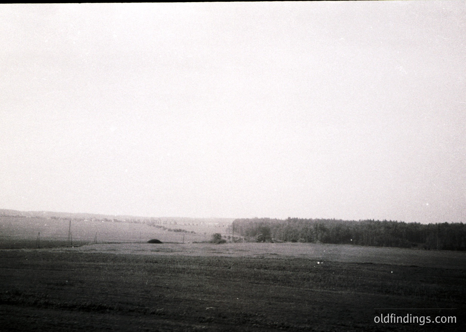 Vintage black-and-white landscape of open agricultural fields with sparse vegetation, leading to a dense forest line. Overcast sky suggests mid-20th century rural setting. Low-angle composition emphasizes horizon and vastness.