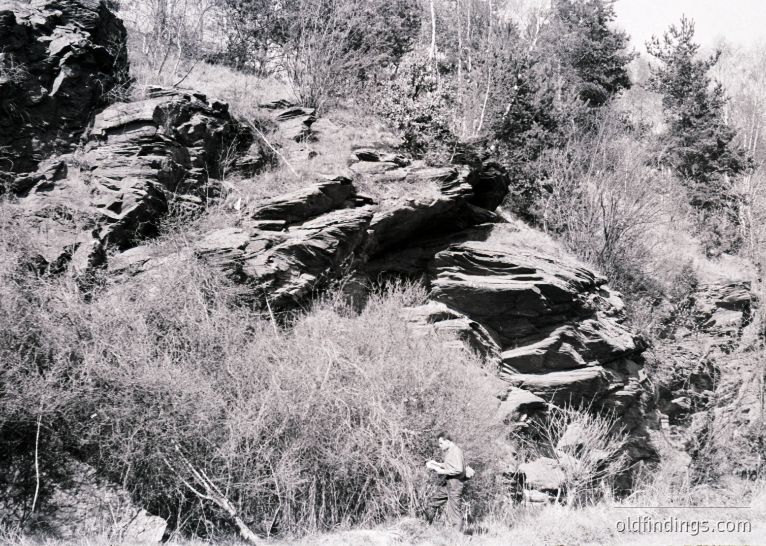 Black-and-white landscape featuring layered sedimentary rock formations with visible horizontal strata, likely limestone or sandstone. A lone figure in period clothing stands near the base, emphasizing scale. Dense brush and sparse trees frame the rugged terrain, suggesting a mid-20th century outdoor expedition or geological survey.