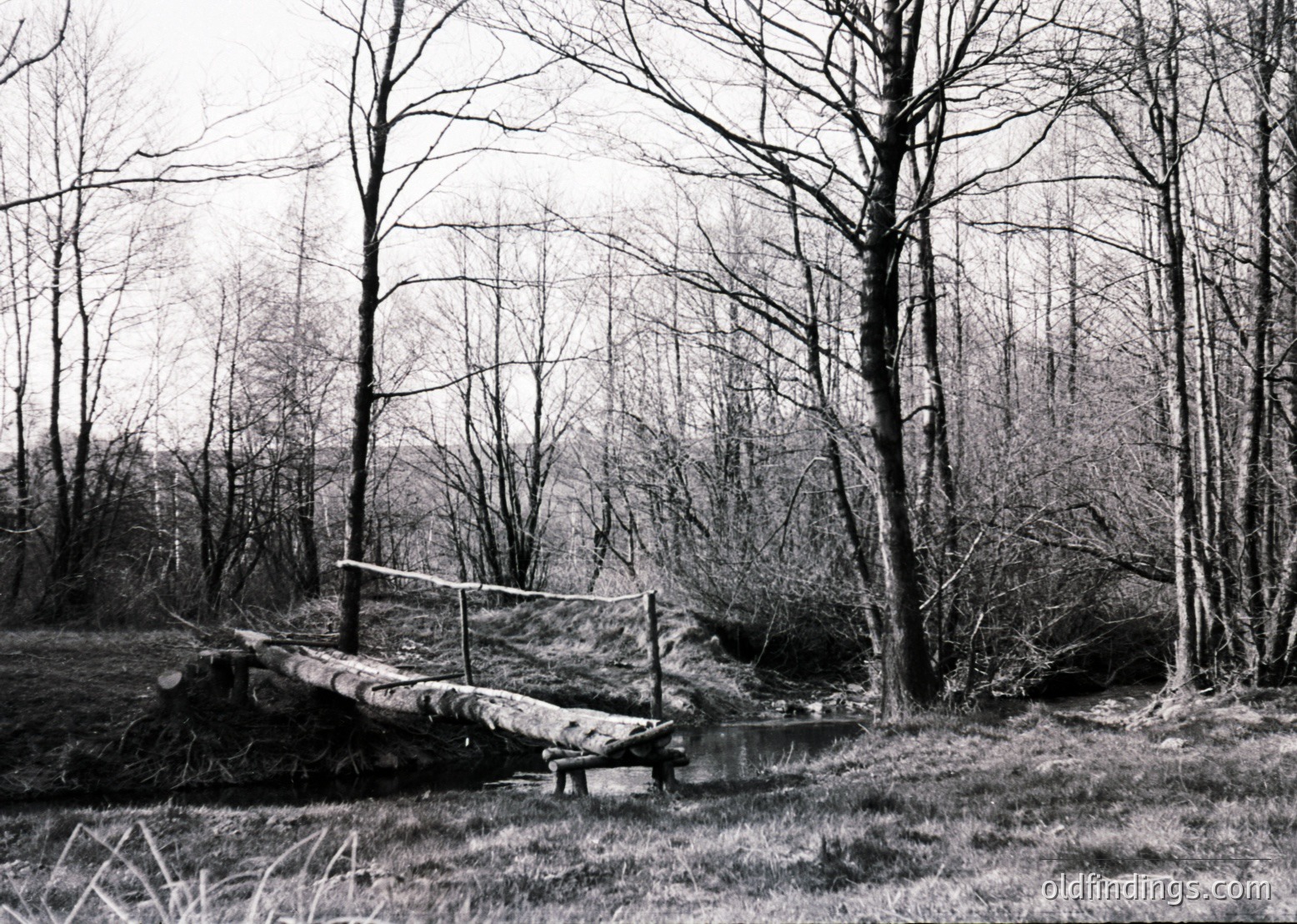 Rustic wooden bridge spanning a shallow stream in a dense forest, likely mid-20th century. Bare trees and dry grass suggest late autumn/winter. Rustic, handcrafted design with simple plank construction.
