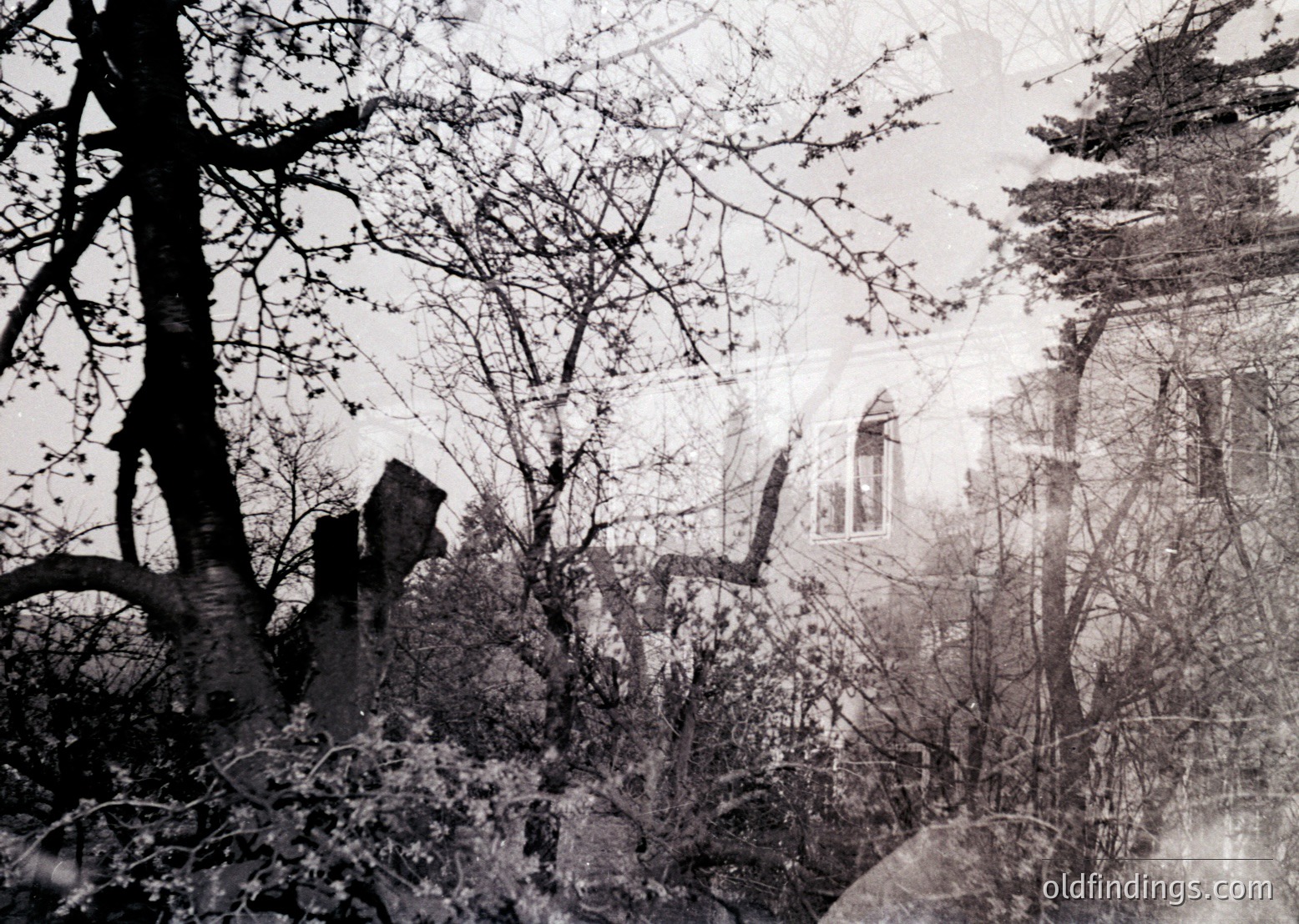 Vintage sepia-toned photograph of a partially obscured building framed by leafless trees and dense shrubbery. Architectural details include arched windows and a stone facade, suggesting European heritage. Likely late 19th to early 20th century.