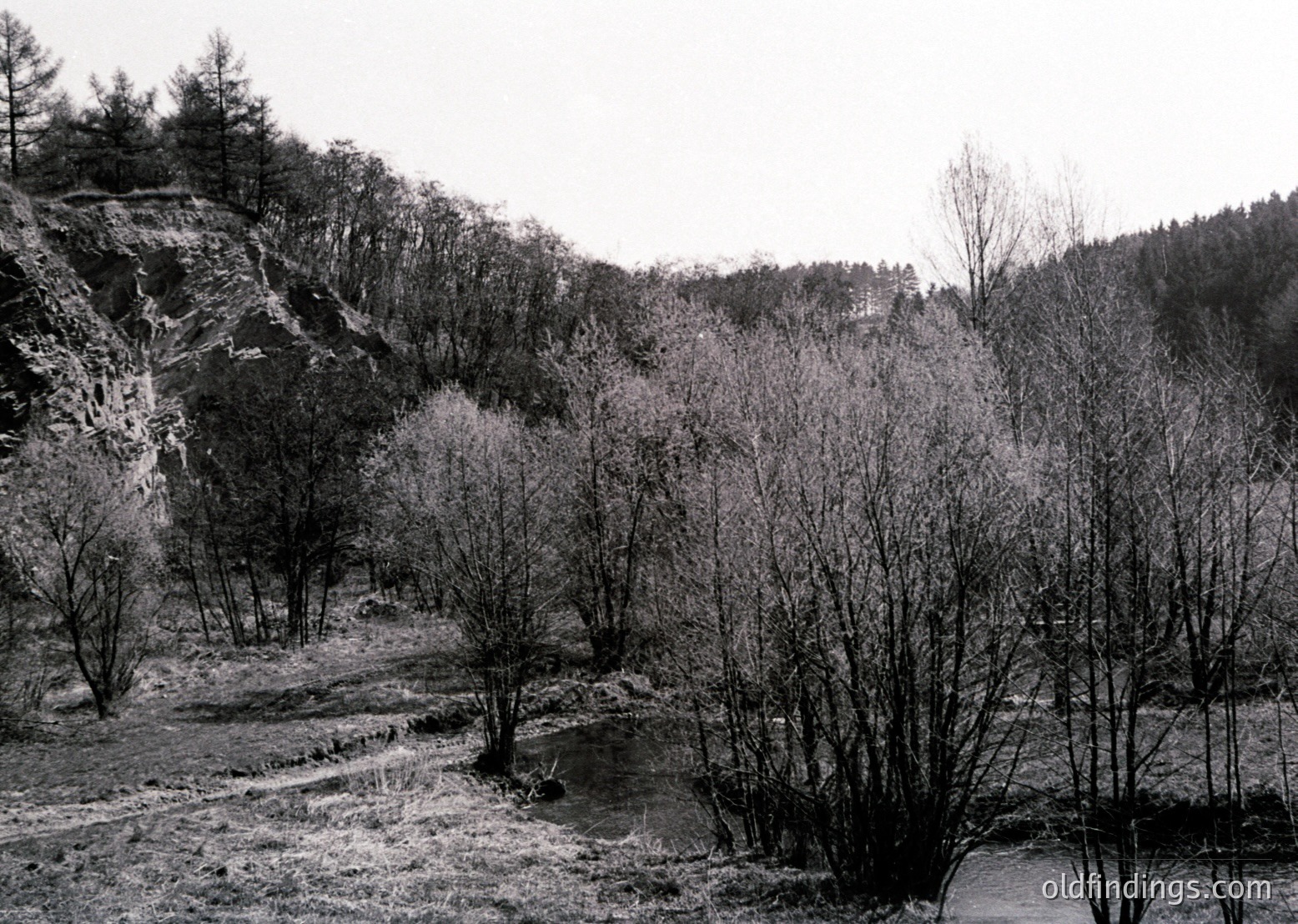 Barren winter landscape with leafless trees and rocky terrain, evoking stark natural beauty. The composition highlights rugged hillsides and sparse vegetation, suggesting a cold, transitional season.