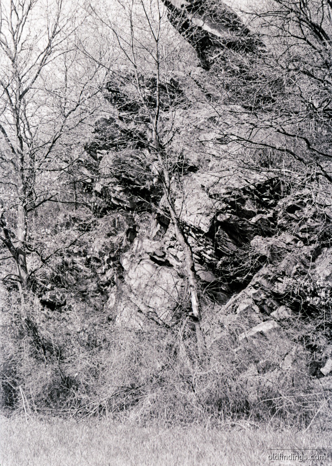Monochrome landscape featuring rugged rock formations and sparse vegetation. The jagged cliffs and leafless trees suggest late autumn or early winter. Dramatic lighting enhances texture, ideal for nature/landscape studies.