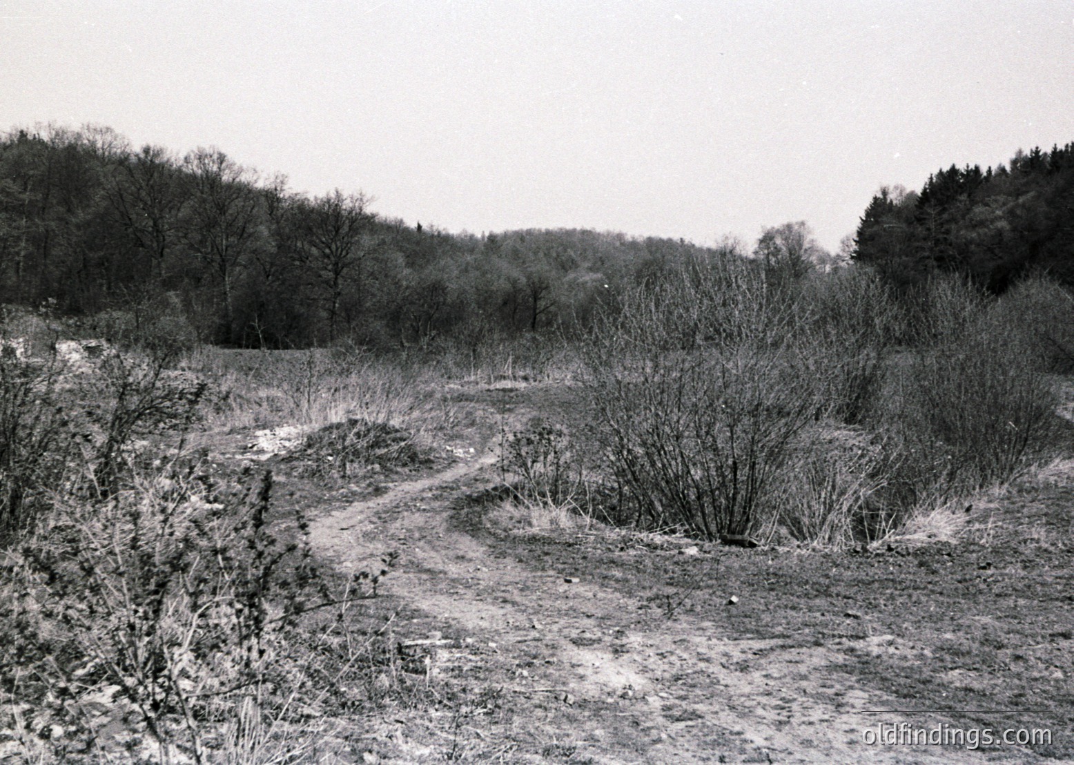 Rural dirt path winding through barren shrubs and open field, bordered by dense forest in background. Black-and-white monochrome suggests mid-20th century.