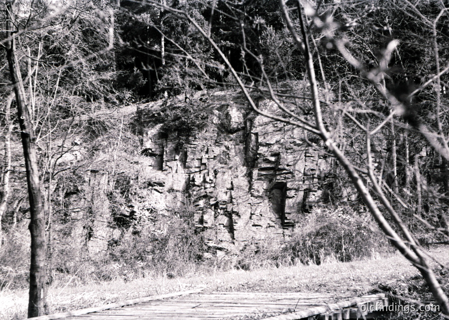 Black-and-white forest path leading to ancient rock carvings, likely petroglyphs, on a steep cliff face. Dense foliage frames the scene, suggesting a remote, natural setting. Style and carving depth hint at prehistoric or early human craftsmanship. Ideal for historical research or nature-themed stock imagery.