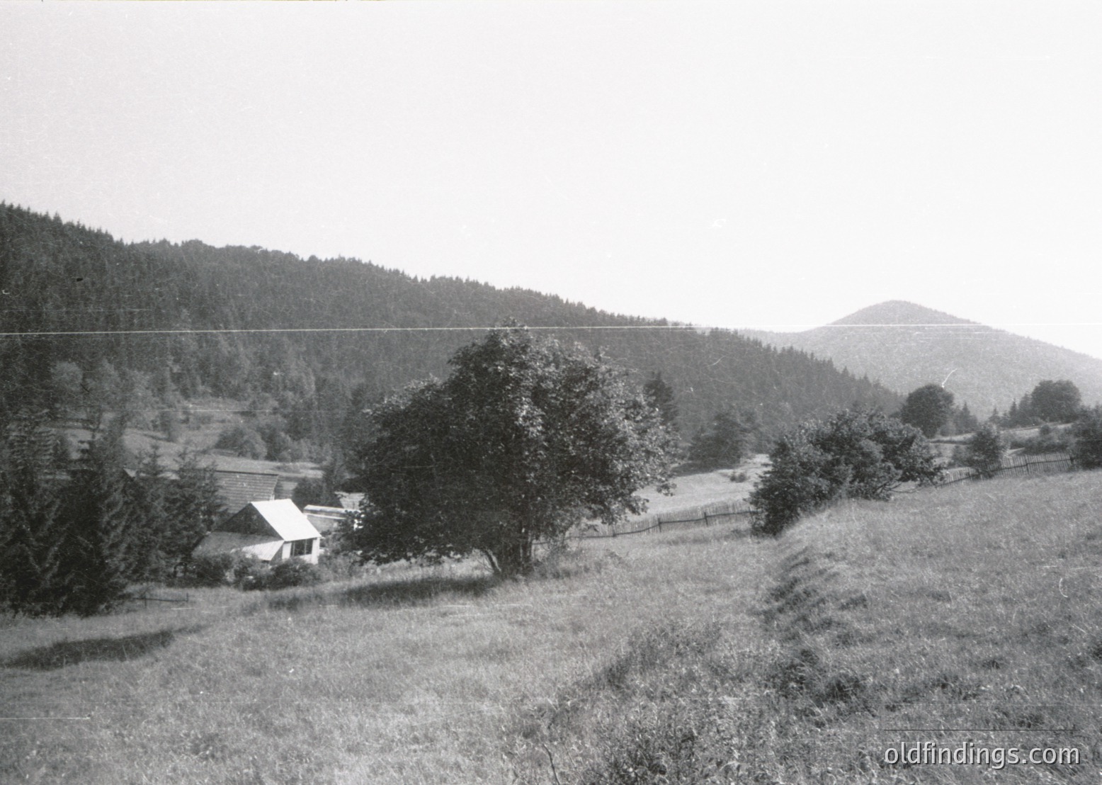 Rural village nestled in forested valley, mid-20th century. Wooden houses with sloped roofs and fenced yards line a winding road flanked by dense trees. Rolling hills and misty mountains in background suggest alpine or temperate climate.