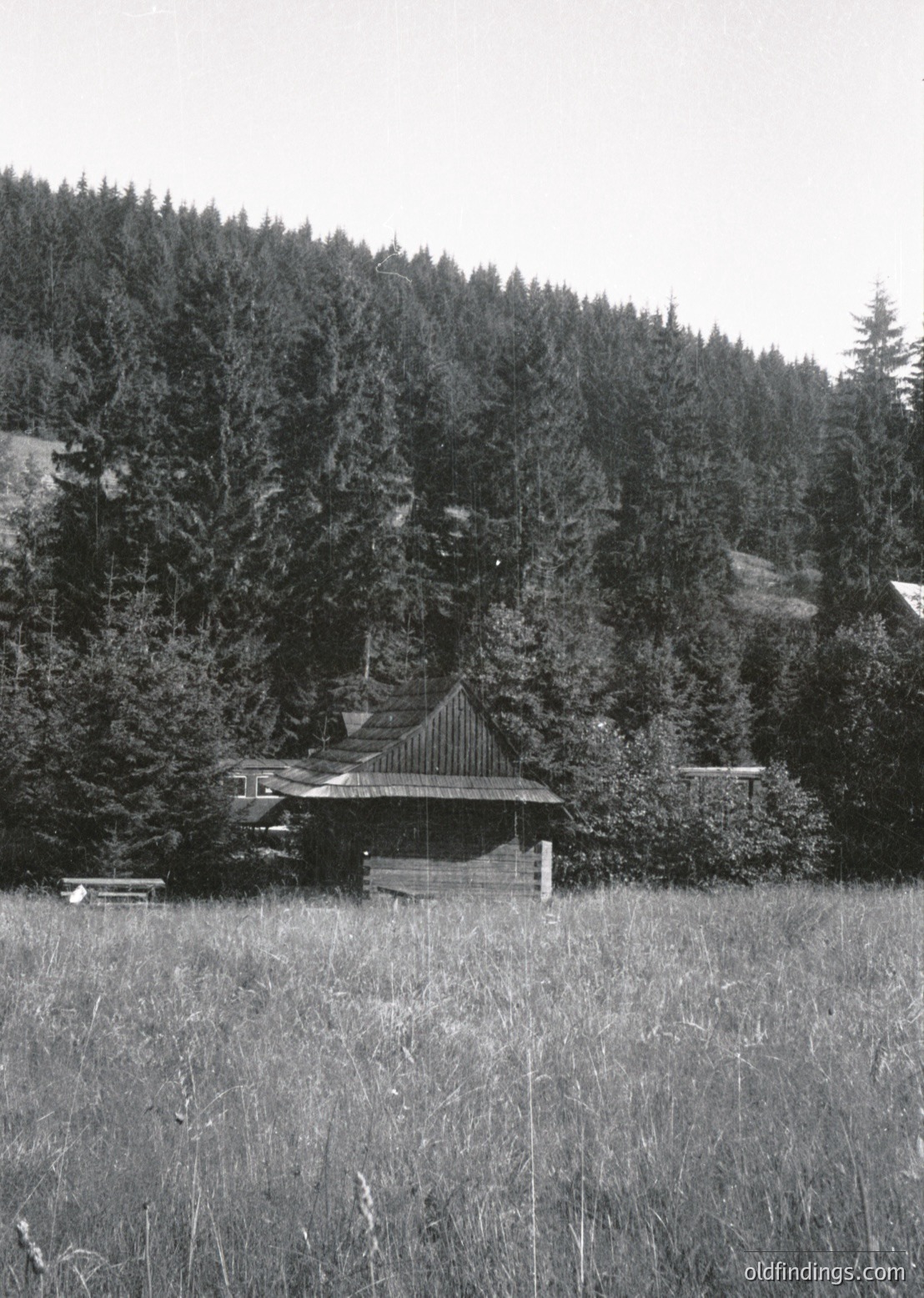 Isolated wooden cabin nestled in dense forest, surrounded by tall evergreens. Rustic design with sloped roof and small porch. Tall grass and open field in foreground. Likely mid-20th century rural retreat.