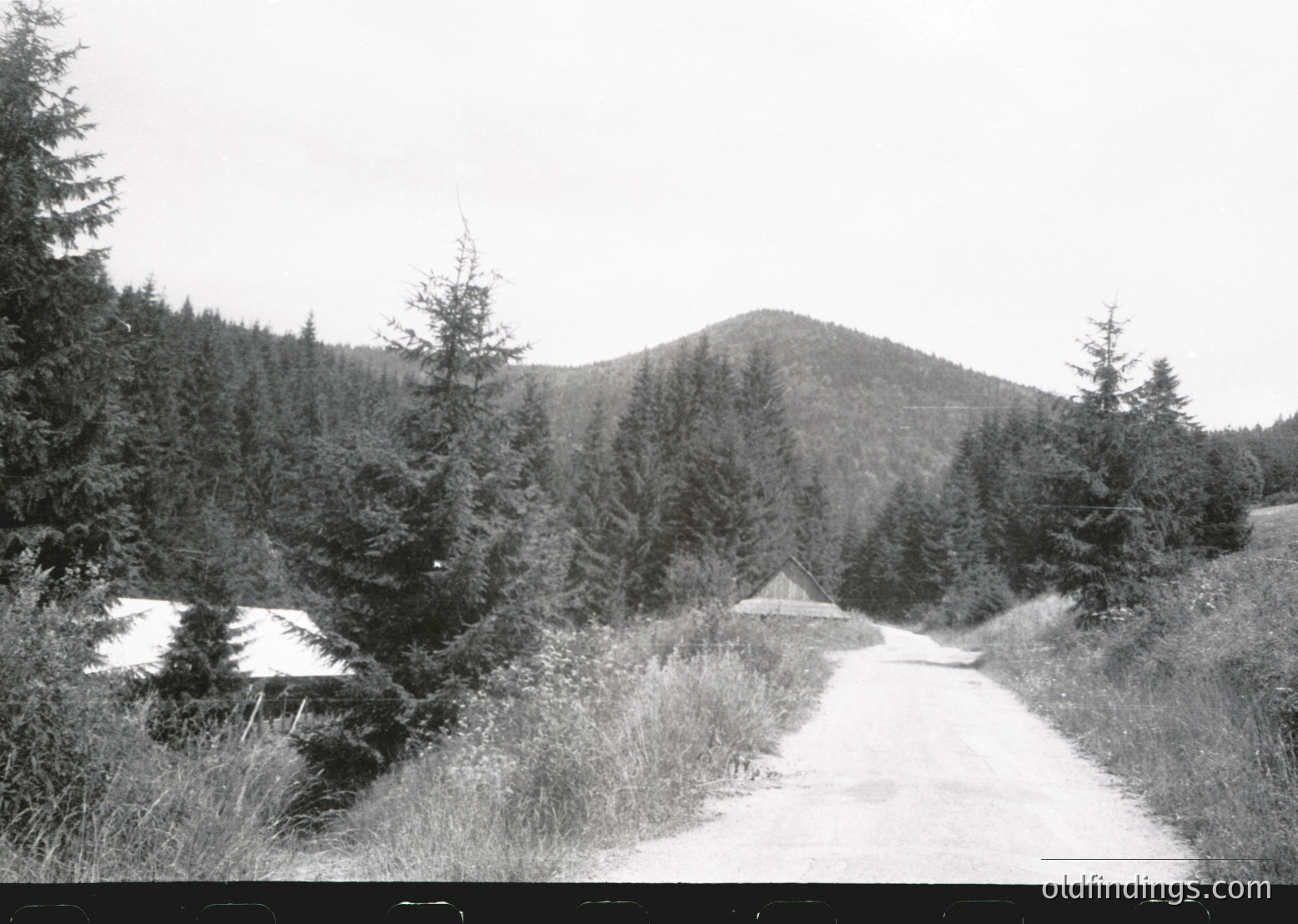 Black-and-white rural road winding through dense coniferous forest, flanked by overgrown grass and snow patches. Small wooden structure (likely a cabin or shed) at center-right. Rolling hills and dense treeline in background. Mid-20th century European countryside aesthetic.
