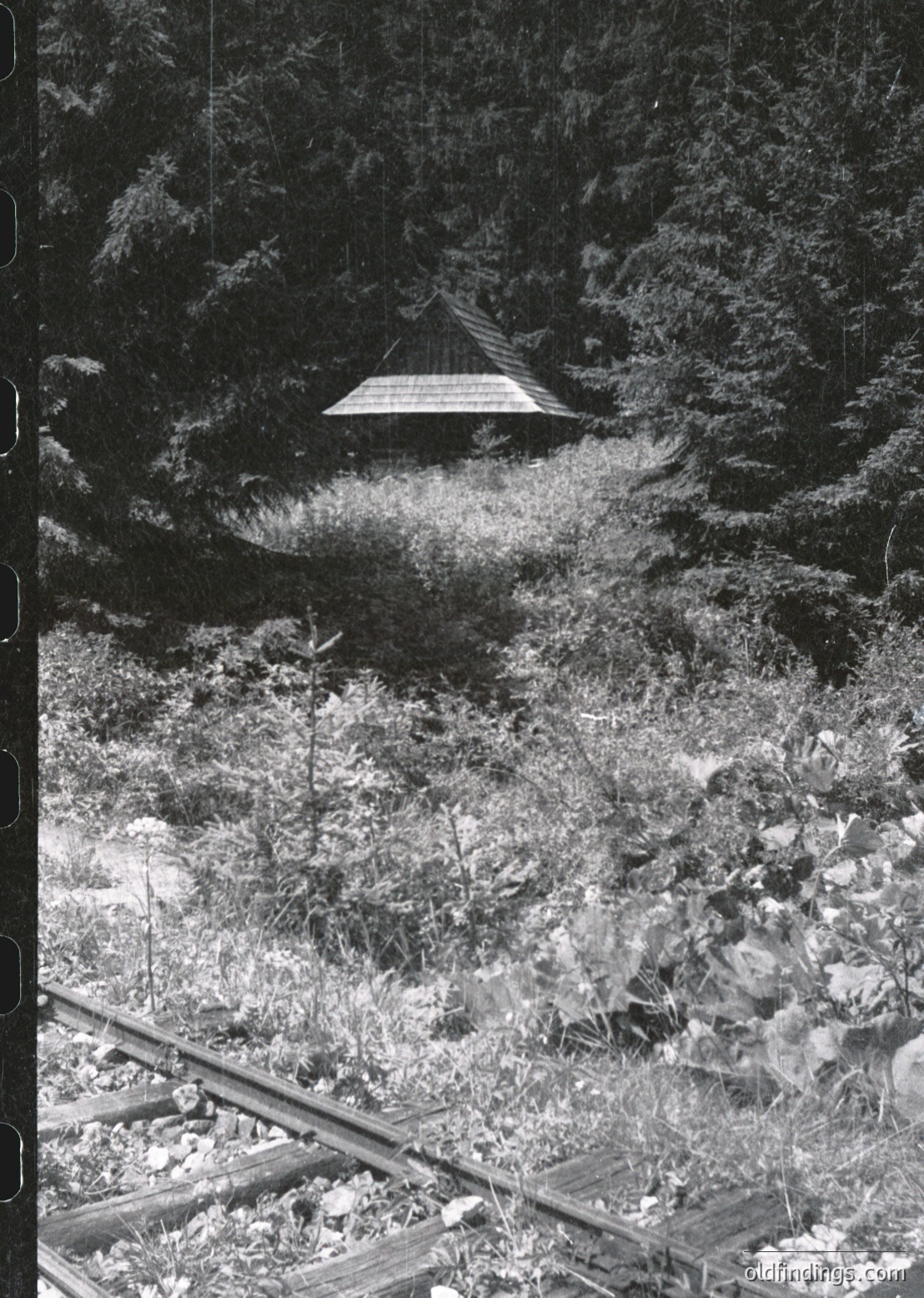 Aerial view of a small, isolated wooden pavilion nestled in dense forest. The structure’s gabled roof and central column suggest a traditional or rustic design, possibly for shelter or observation. Dense foliage surrounds it, indicating a remote or preserved natural setting. Likely mid-20th century based on architectural style and monochrome quality.