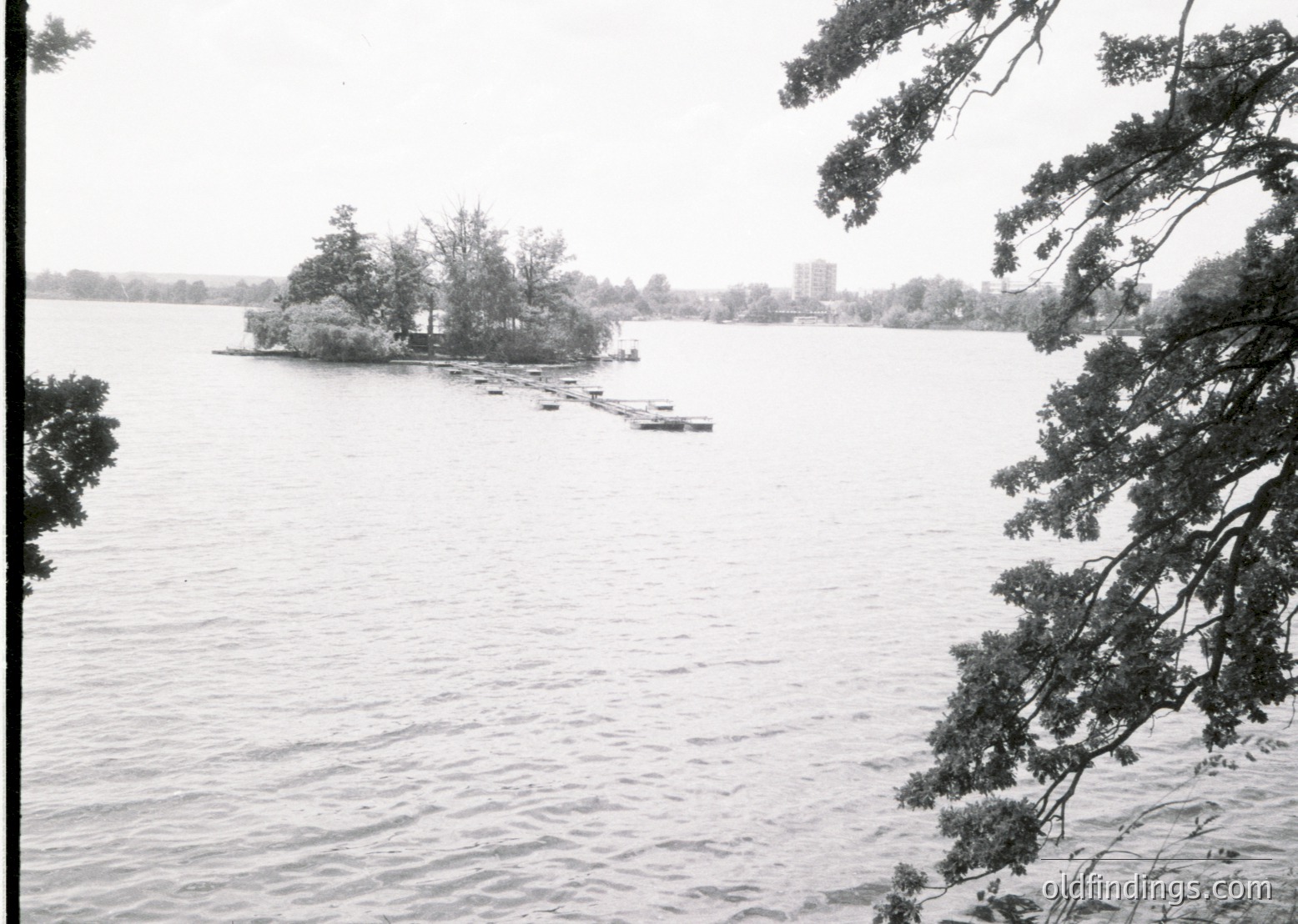 Black-and-white lakeside scene featuring a small island with a single structure and dock. Overcast skies and calm waters dominate the composition. Framed by tree branches in foreground, likely mid-20th century.