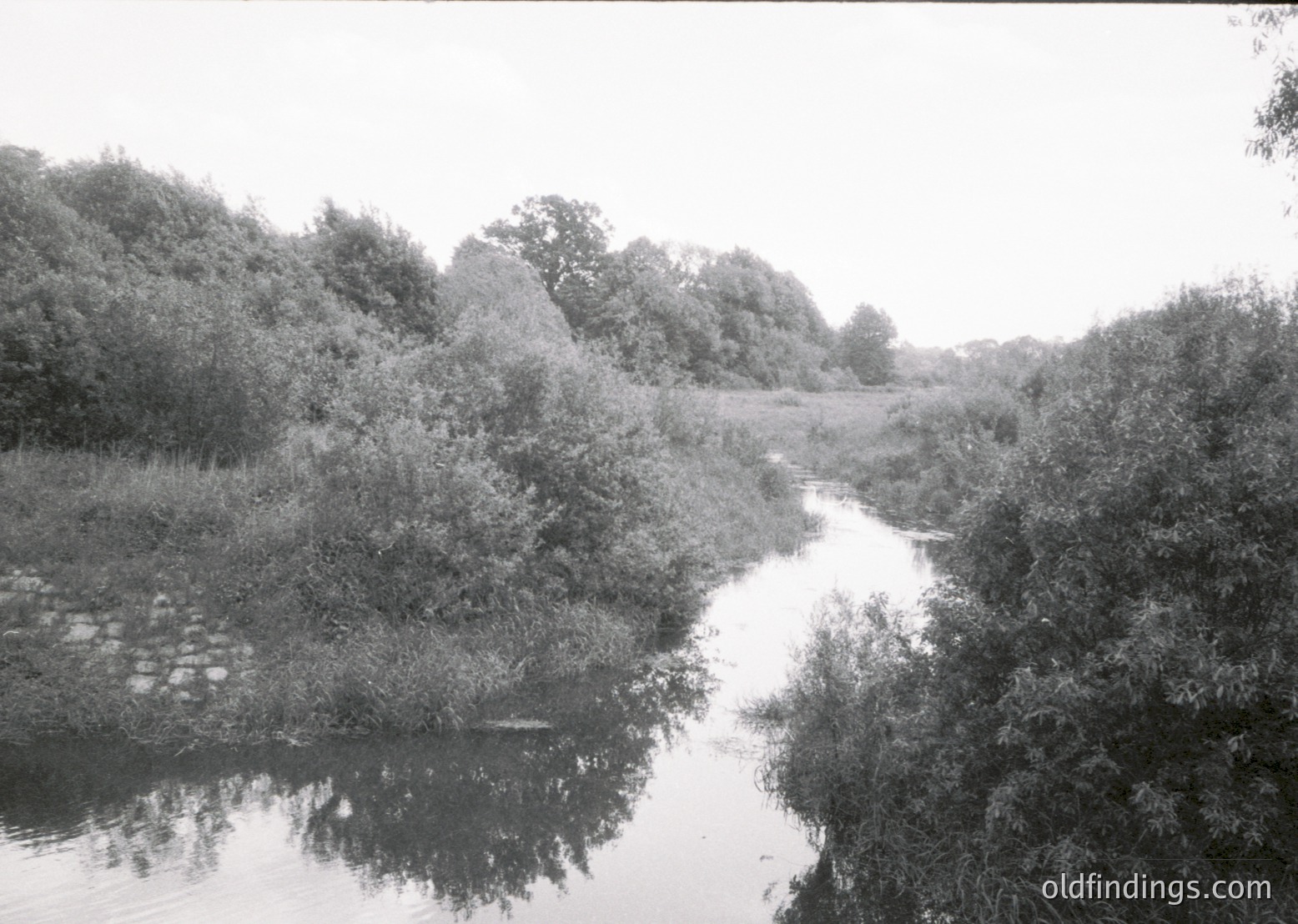 Vintage black-and-white shot of a narrow, reflective stream bordered by dense reeds and trees, likely mid-20th century. Stone steps lead into the water, suggesting a rural or agricultural setting. Overcast skies enhance the moody, timeless atmosphere.