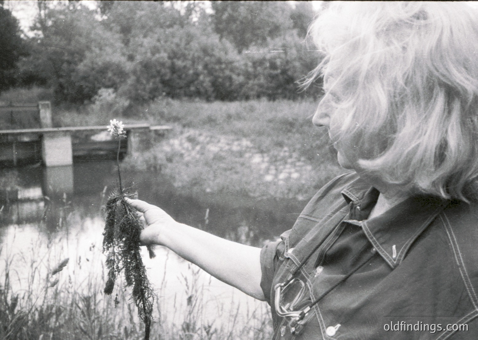 Mid-century woman in outdoor setting examines aquatic plant near waterway, likely for botanical study or environmental observation. Clothing suggests 1960s–1970s style.