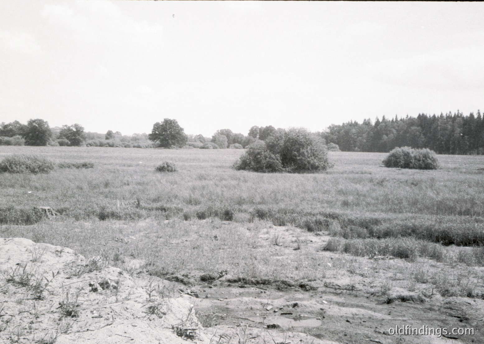 Vintage black-and-white landscape showing overgrown grassland with scattered shrubs and exposed rocky terrain. Mid-ground reveals faint remnants of a paved or trampled path. Dense tree line in background suggests a transitional zone between open field and woodland. Likely mid-20th century agricultural or rural setting.
