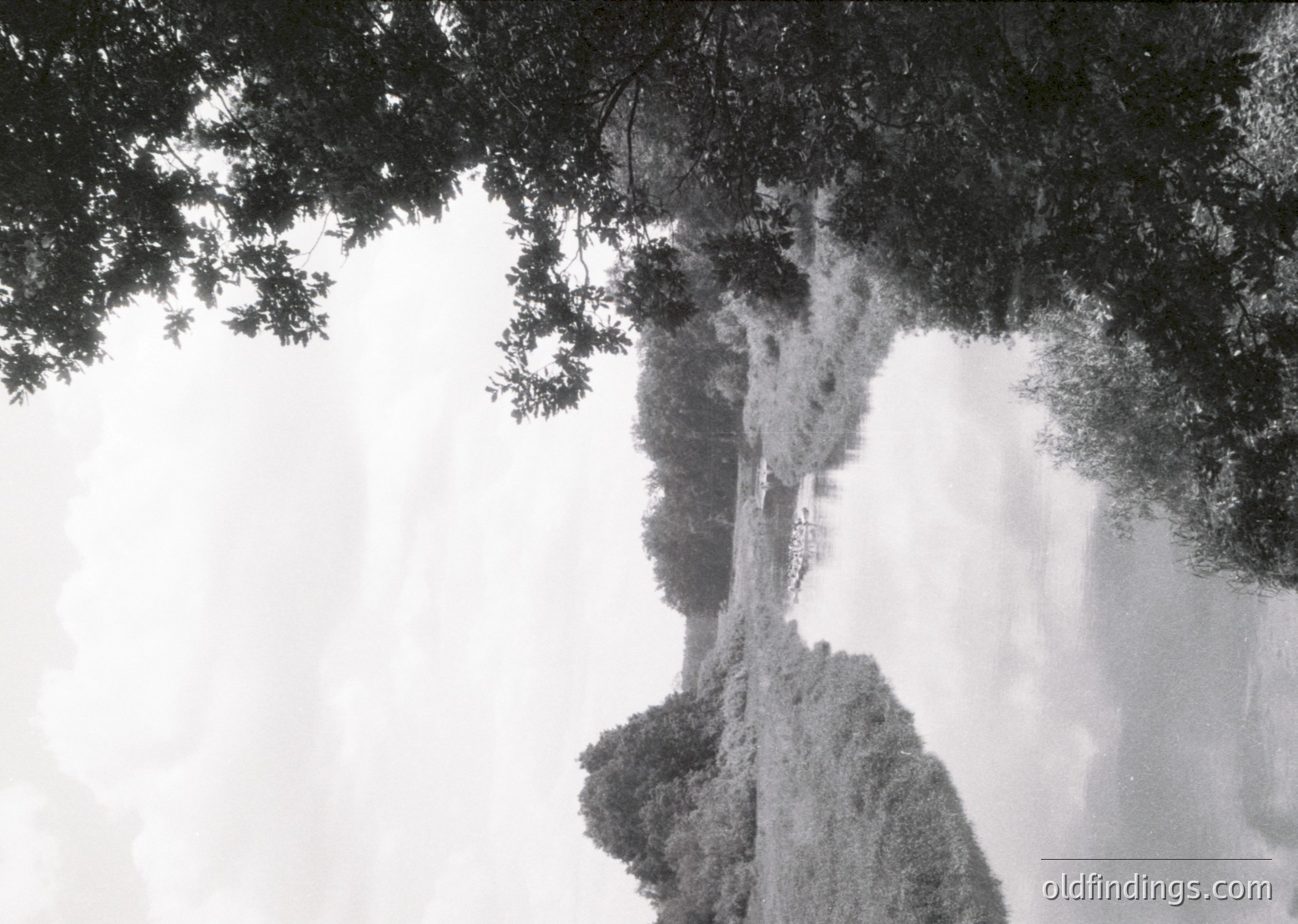 Black-and-white shot of a powerful waterfall cascading through a dense forest canopy. Moss-covered rocks and cascading water dominate the scene, creating a dramatic natural frame. Likely or early century based on monochrome style.