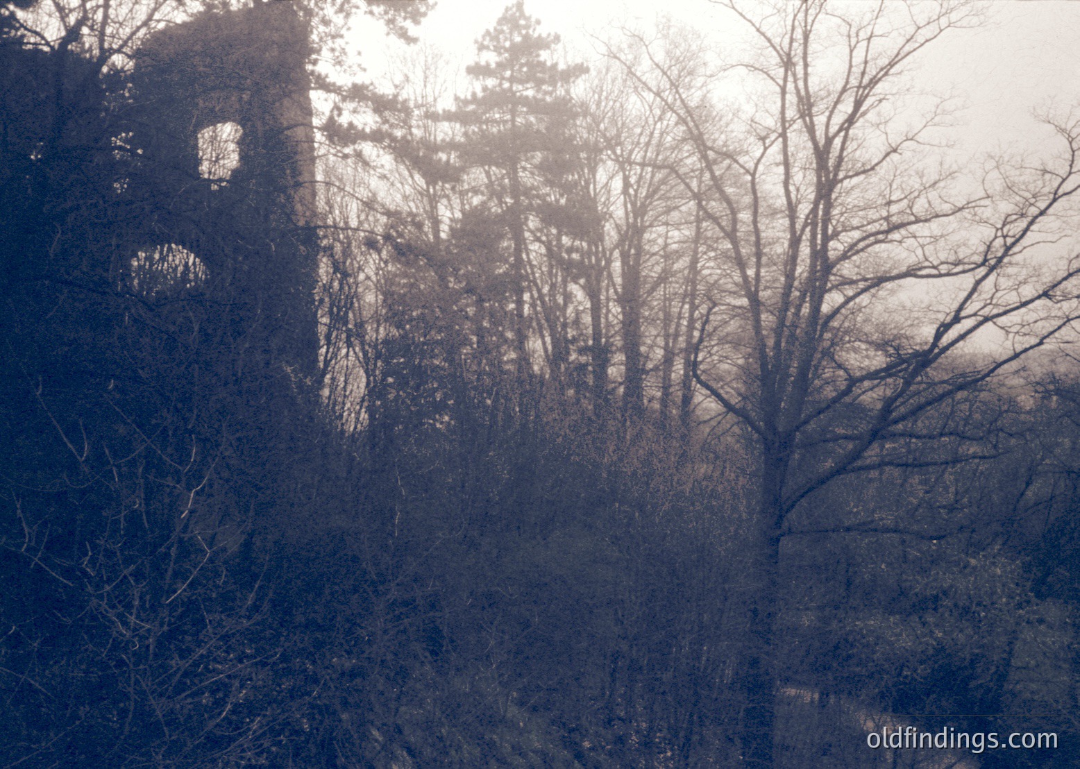 Sunlight filters through bare trees, illuminating a partially ruined stone structure in a misty forest. The architectural remnants suggest a historic tower or watchtower, surrounded by dense woodland. Atmospheric and evocative of abandoned heritage sites.