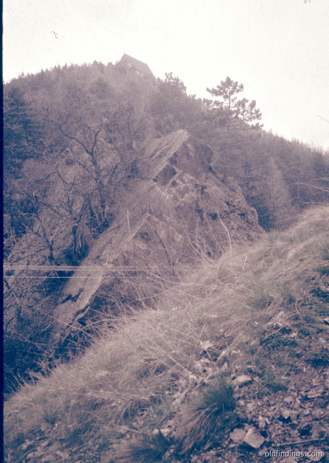 Vintage sepia-toned aerial view of rugged alpine terrain with sparse coniferous trees and rocky slopes. Overgrown vegetation and winding paths suggest remote, undeveloped landscape. Likely 20th-century aerial survey or early tourism documentation.