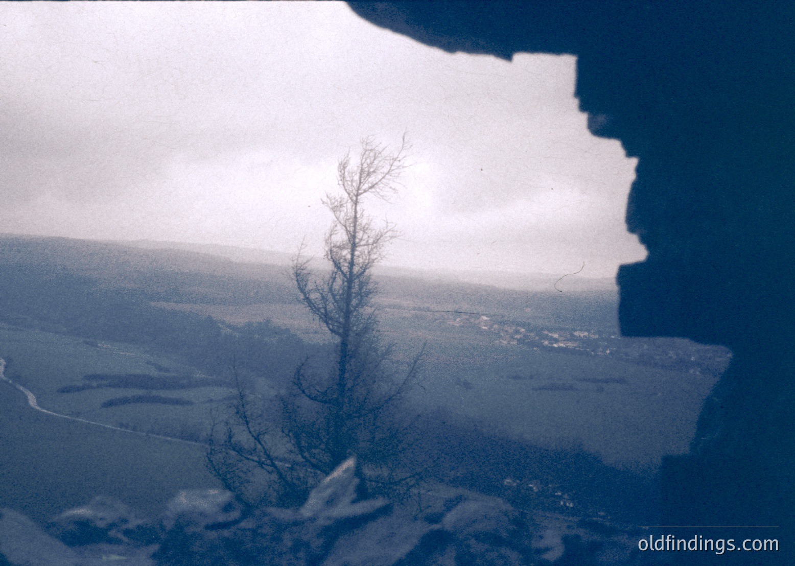 Aerial view of a lone, barren tree framing a frozen landscape, likely taken from a low-angle perspective. Snow covers fields and a winding river below, with distant structures suggesting rural settlement. Vintage monochrome tone suggests 20th-century photography.