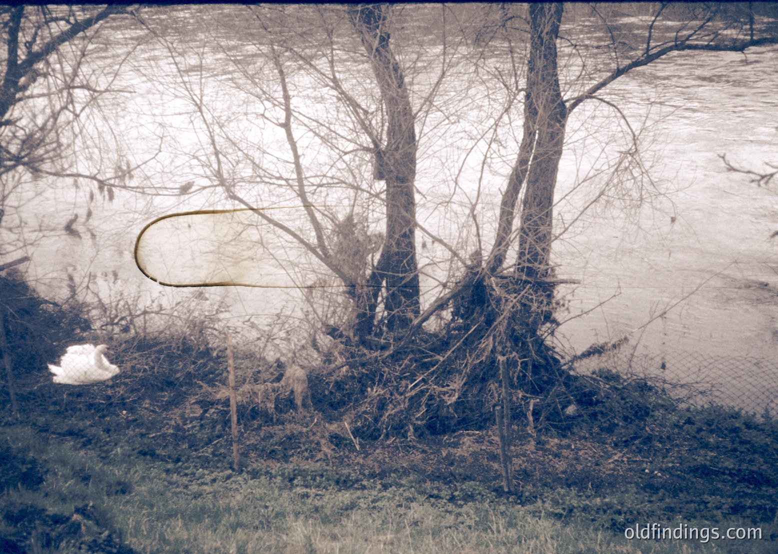 Vintage sepia-toned photo of a rural riverside scene with leafless trees and shallow water. A faint, partially submerged object (likely a boat or log) rests near the bank. Overgrown grass and sparse vegetation suggest abandonment or seasonal stillness. *(Note: Exact time period is approximate; style suggests mid-20th century.)*