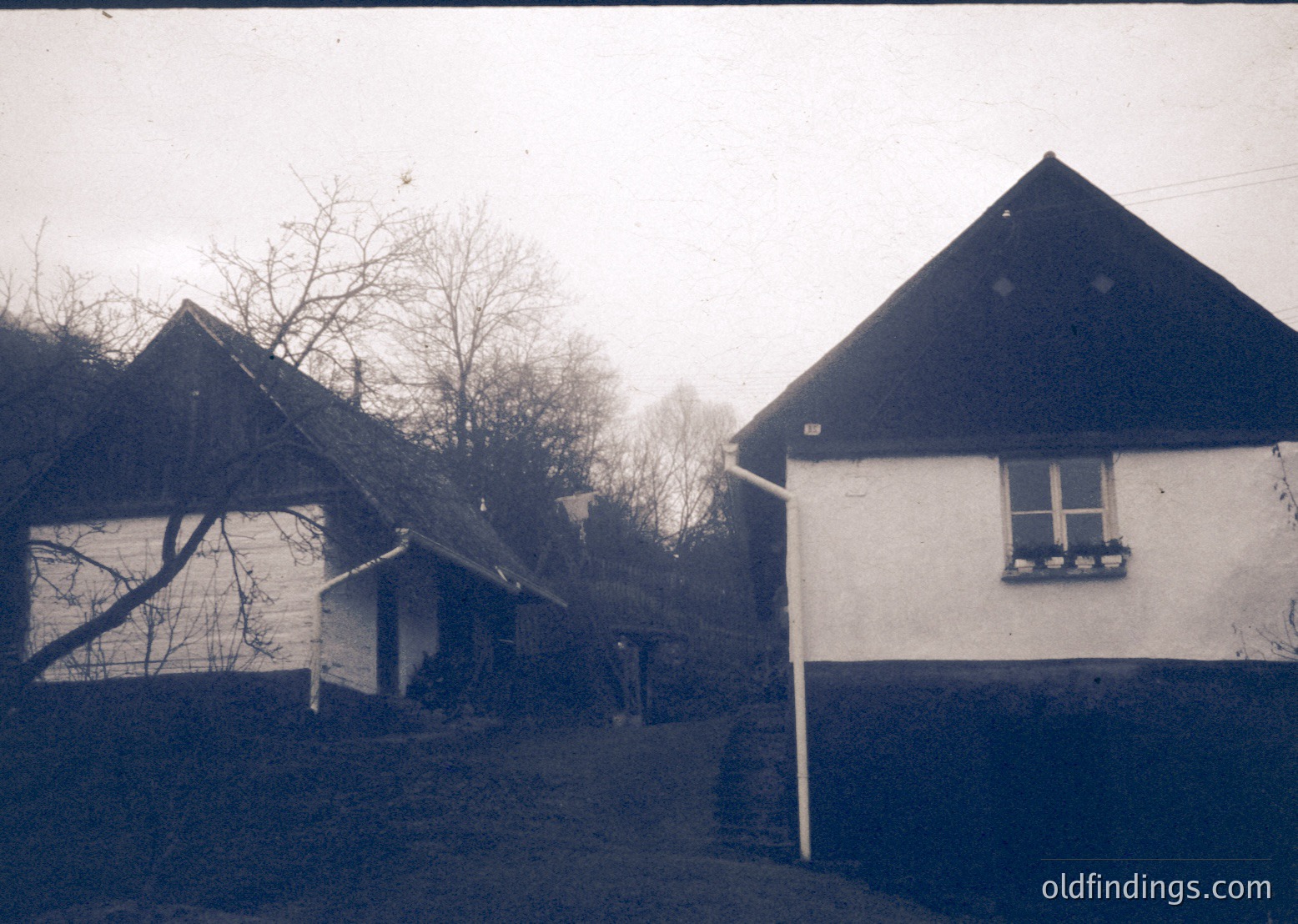 Vintage black-and-white photo of modest rural homes with steep gable roofs and whitewashed walls, likely Eastern European. Leafless trees and overgrown shrubs suggest late autumn/winter. Simple window flower boxes hint at domestic care.