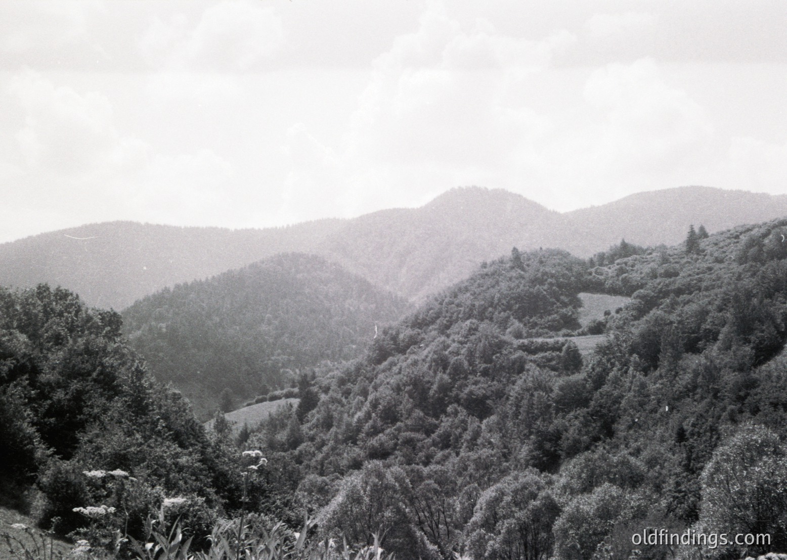Vintage black-and-white landscape of rolling hills and dense forest under overcast skies. Mid-20th century rural scenery with winding dirt paths and scattered clearings.
