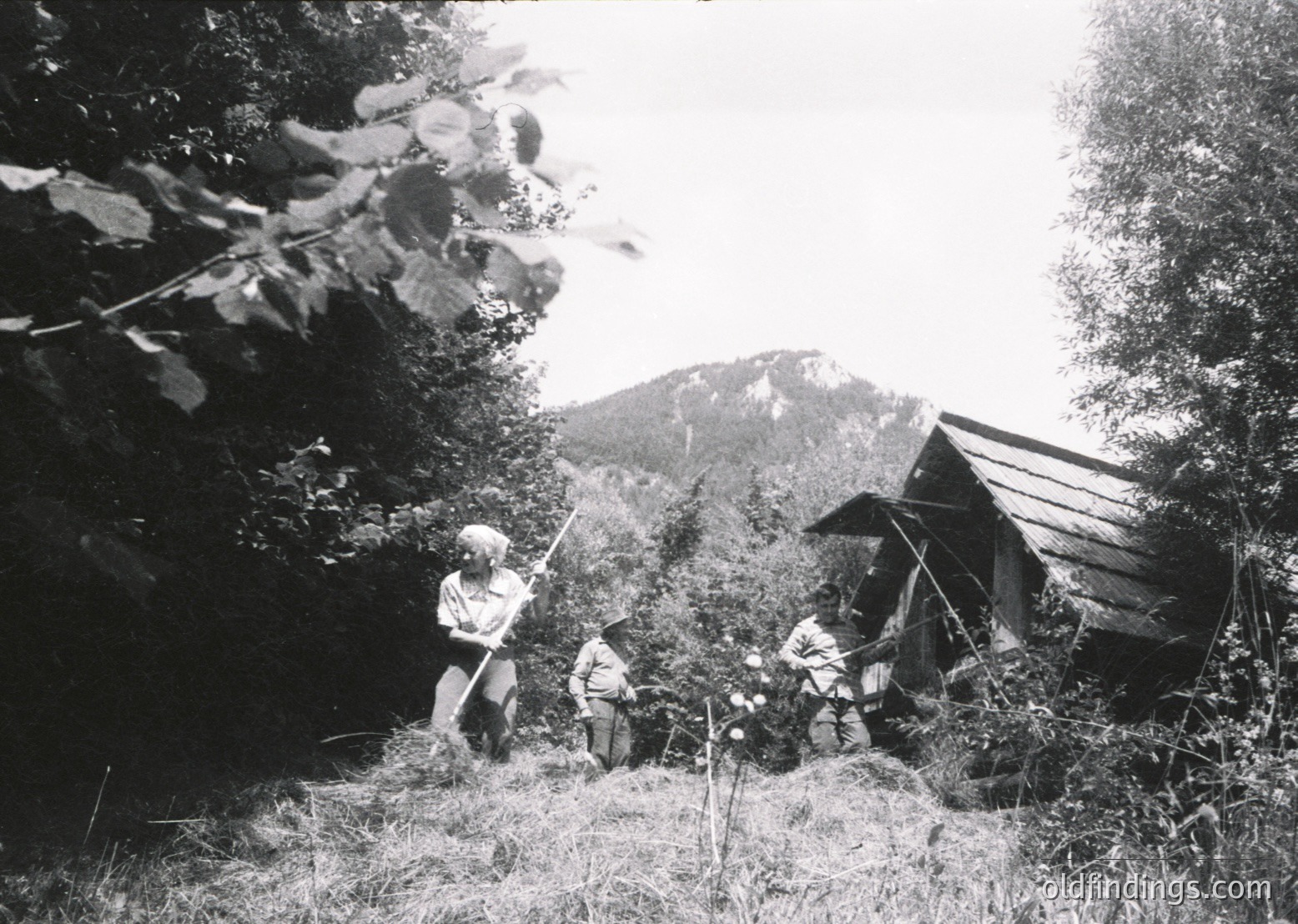 Three individuals in traditional alpine attire gather near a rustic wooden shelter in a forested mountain valley. Mid-20th century (1950s–1960s) European alpine village scene.
